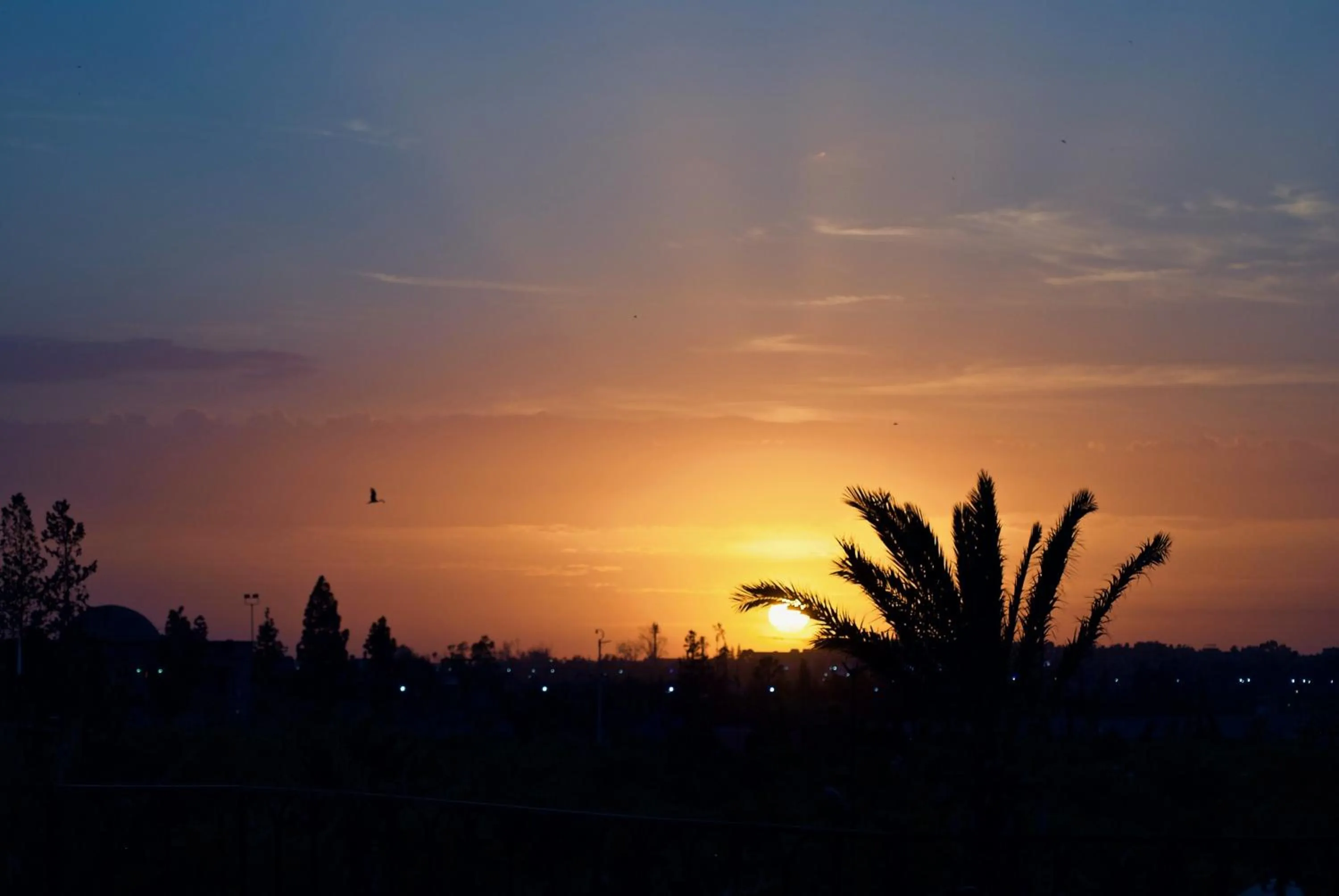 Balcony/Terrace in Riad Rockech