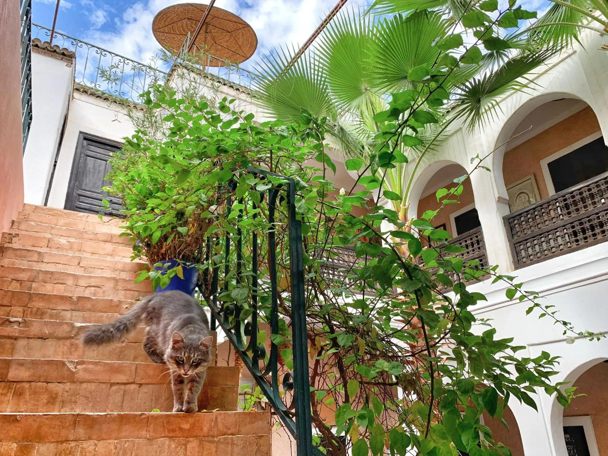 Patio in Riad Rockech