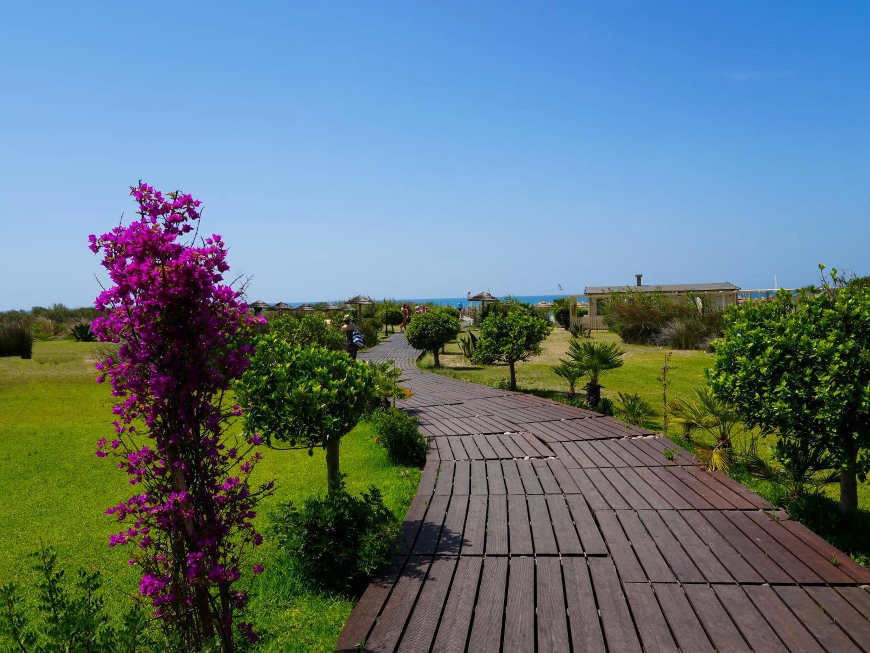 Garden in Sikania Eco Resort