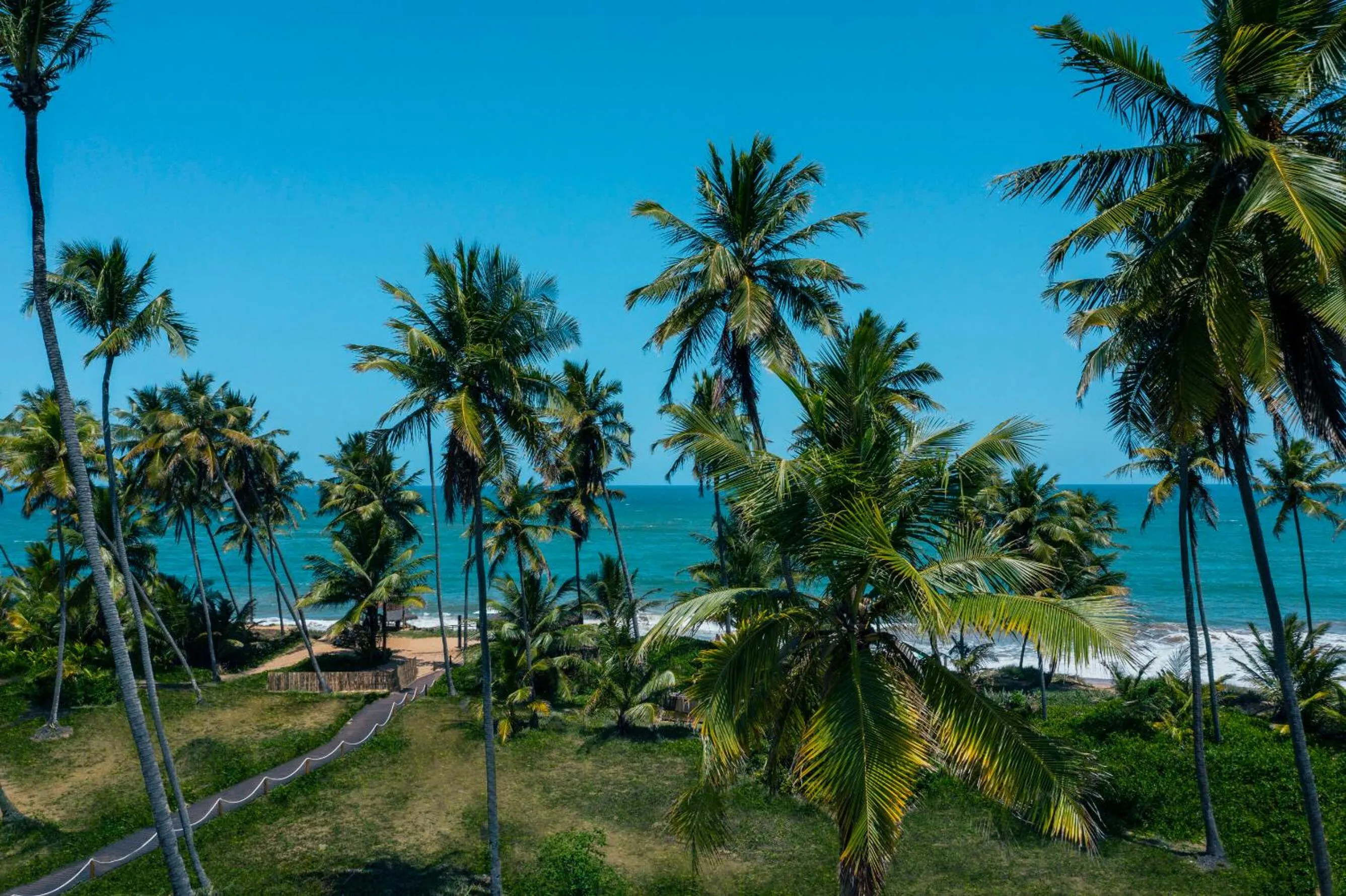 Natural landscape in Iberostar Selection Praia do Forte - All Inclusive