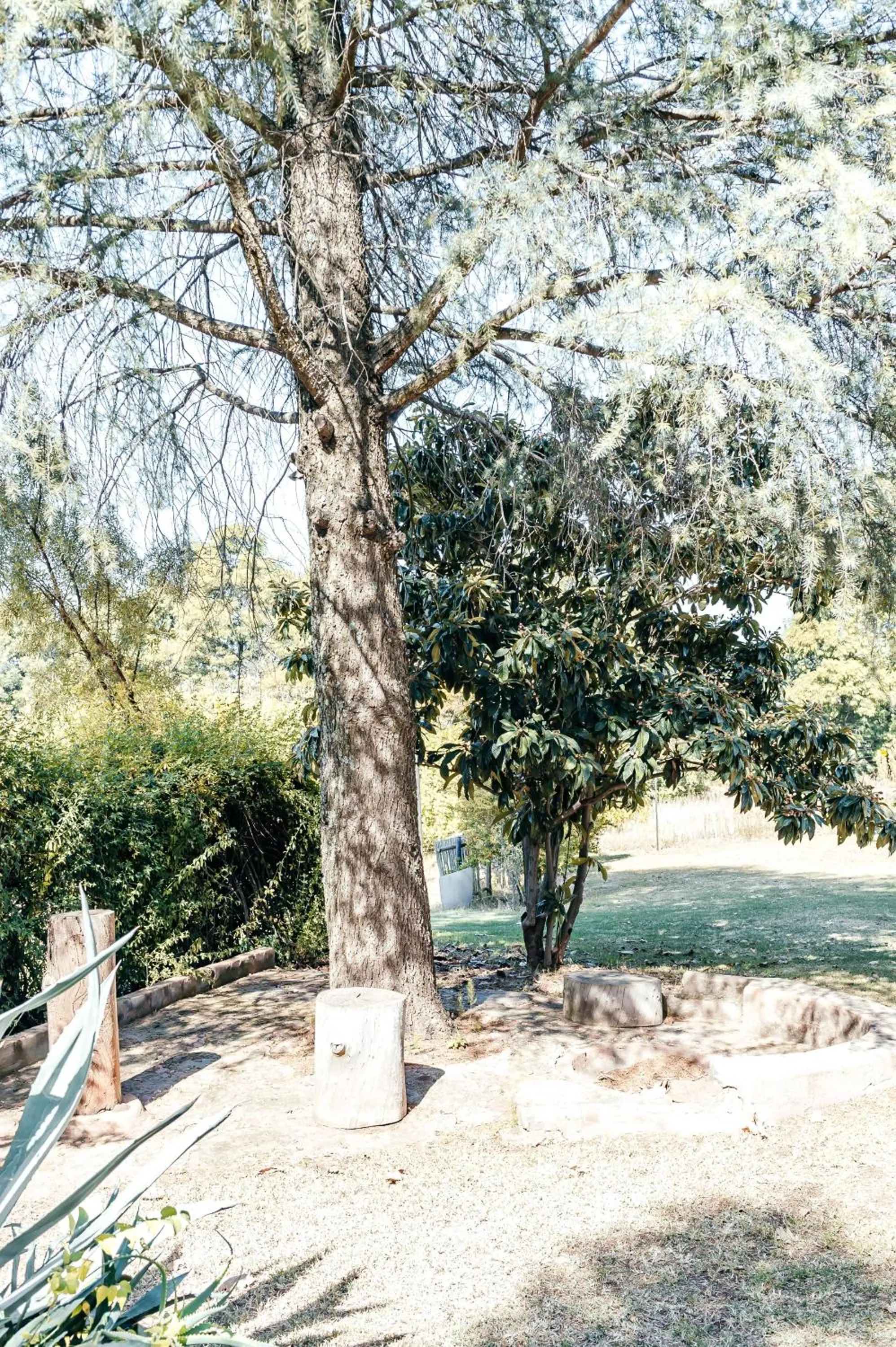 Garden in Misty Morn Cottages