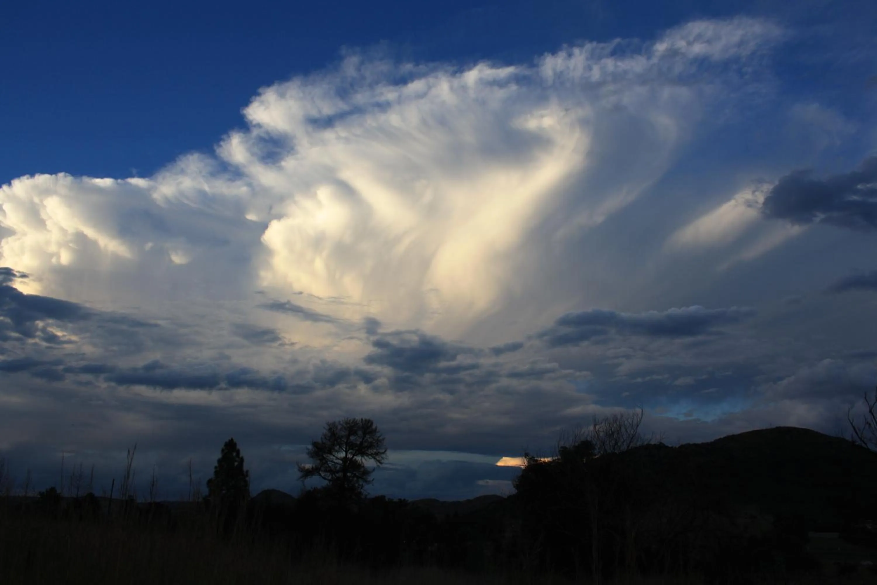 Natural landscape in Misty Morn Cottages