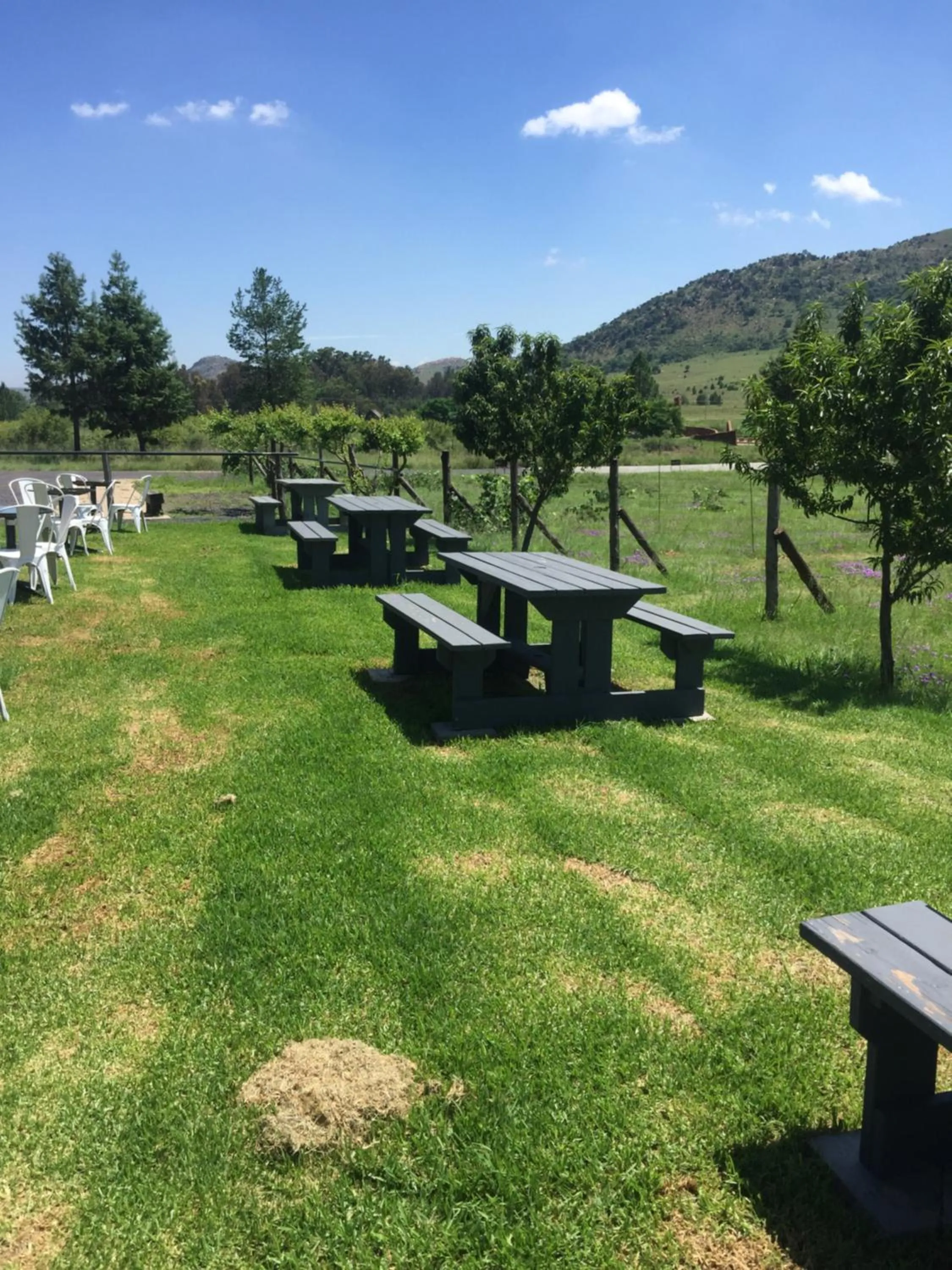 Restaurant/places to eat in Misty Morn Cottages