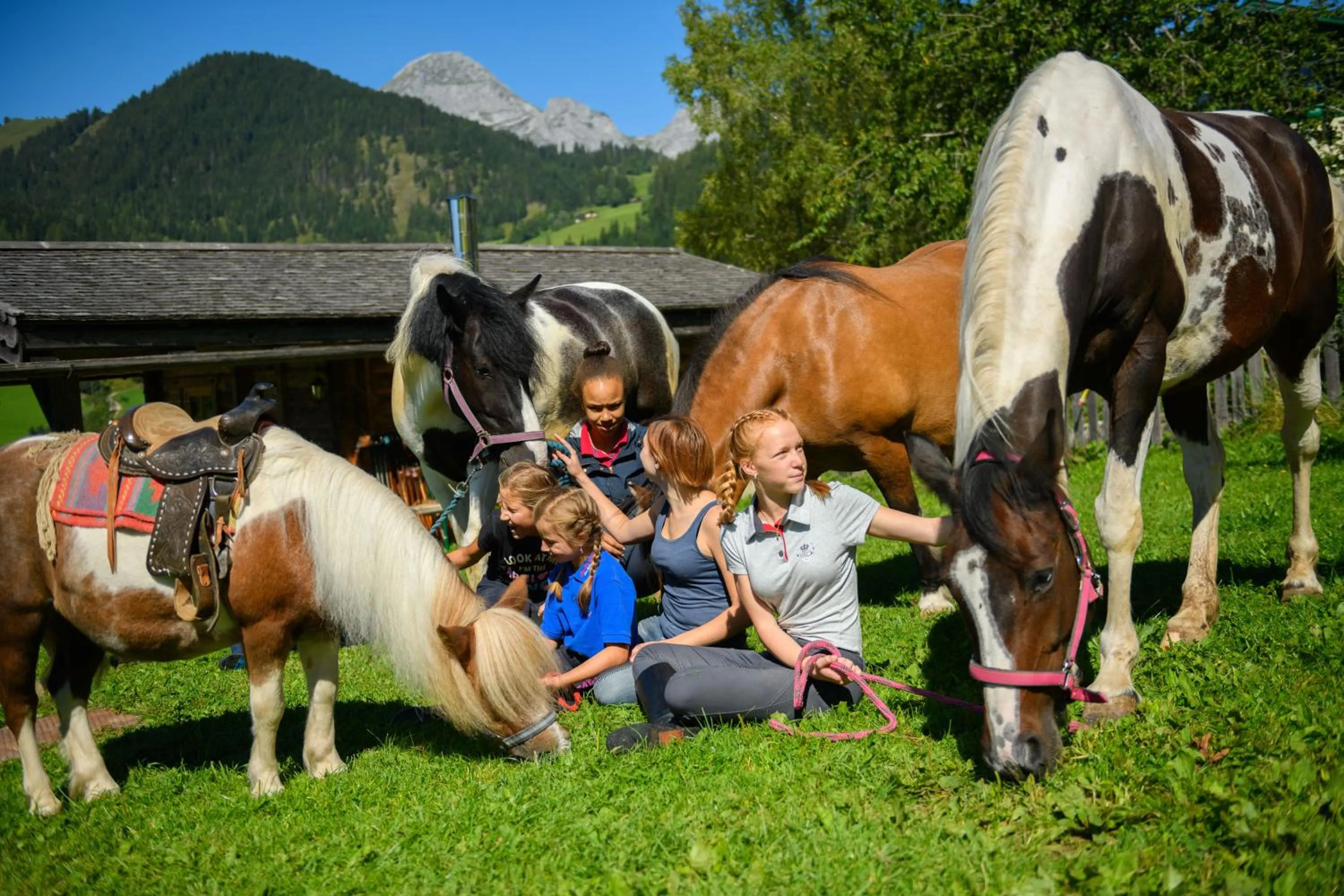 Wohlfühlresort und Feriengut Martinerhof
