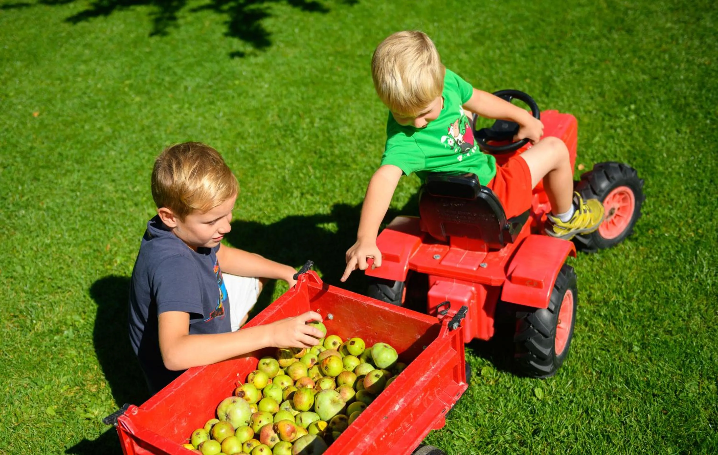 children in Wohlfühlresort und Feriengut Martinerhof