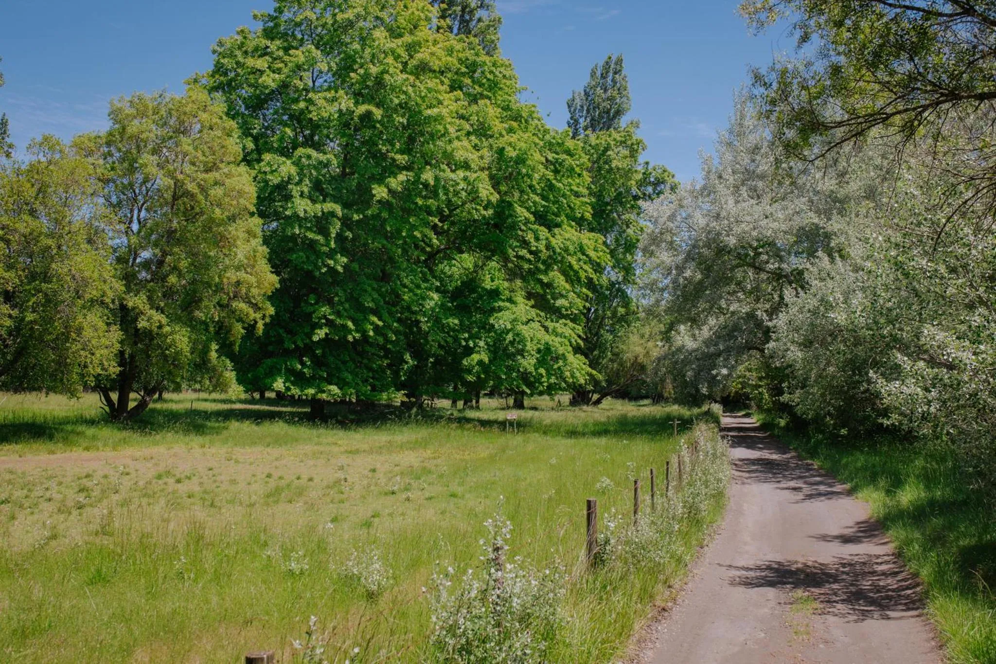 Hotel Salto Del Laja