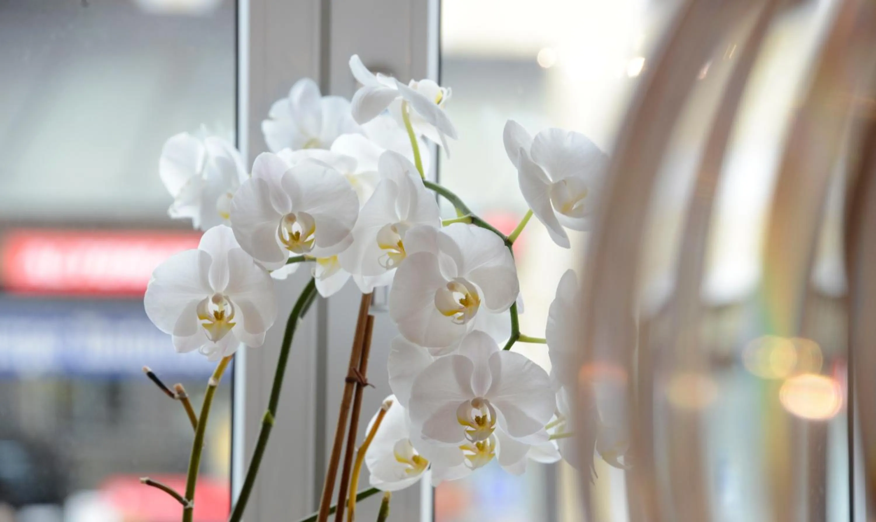 Decorative detail in Hotel Hafnerwirt