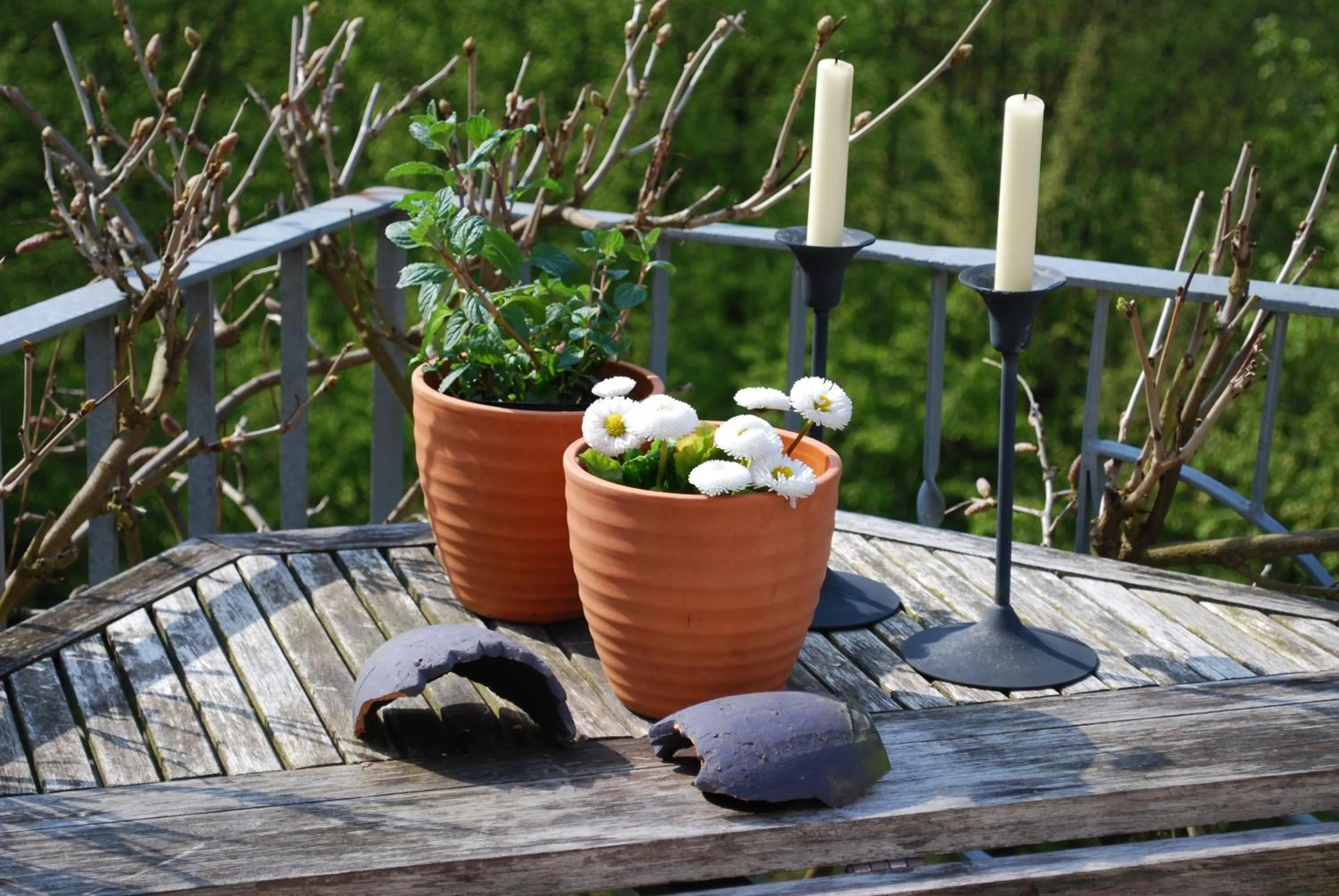 Balcony/Terrace in Haus Grünewald