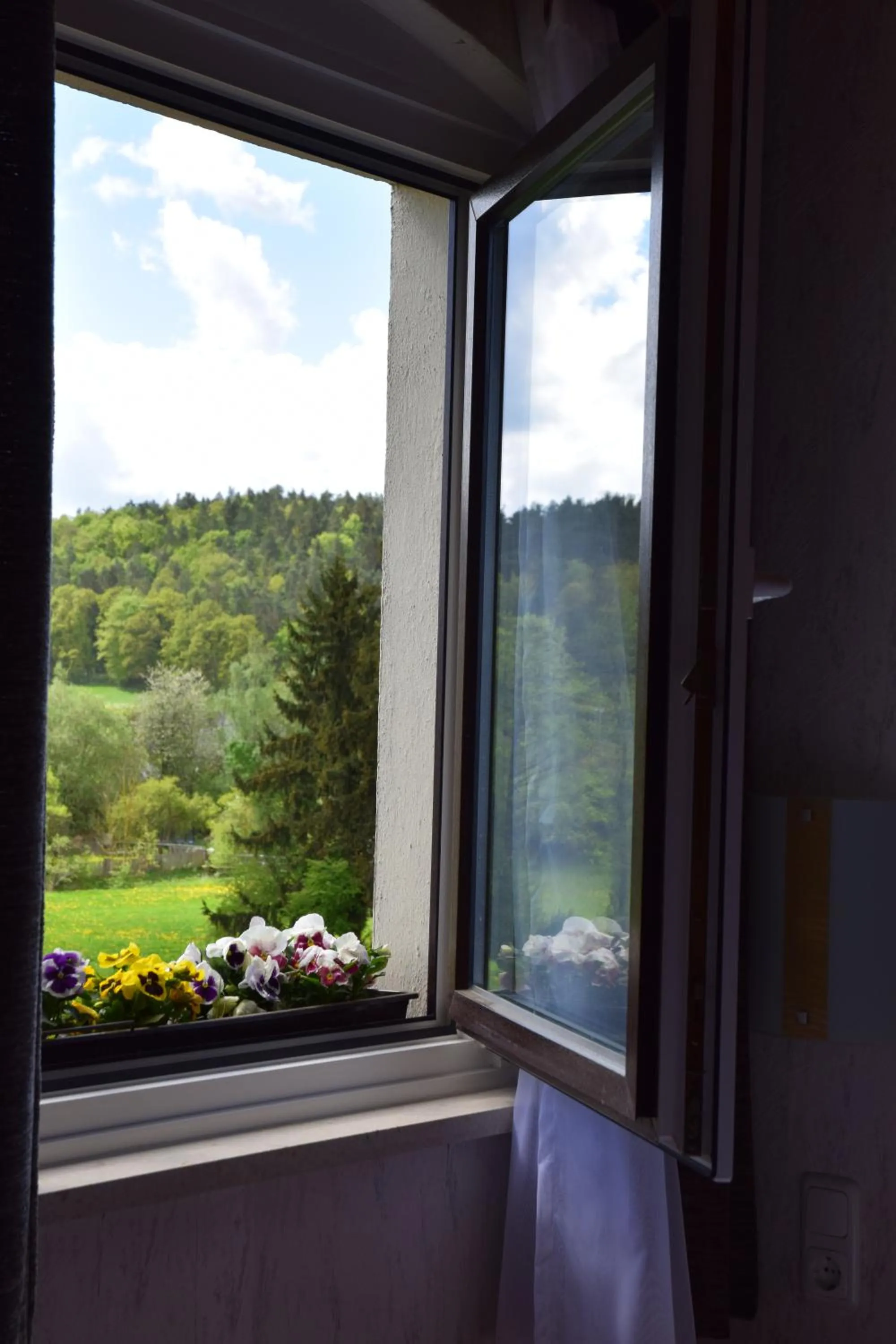 View (from property/room) in Landhotel Steigerwaldhaus