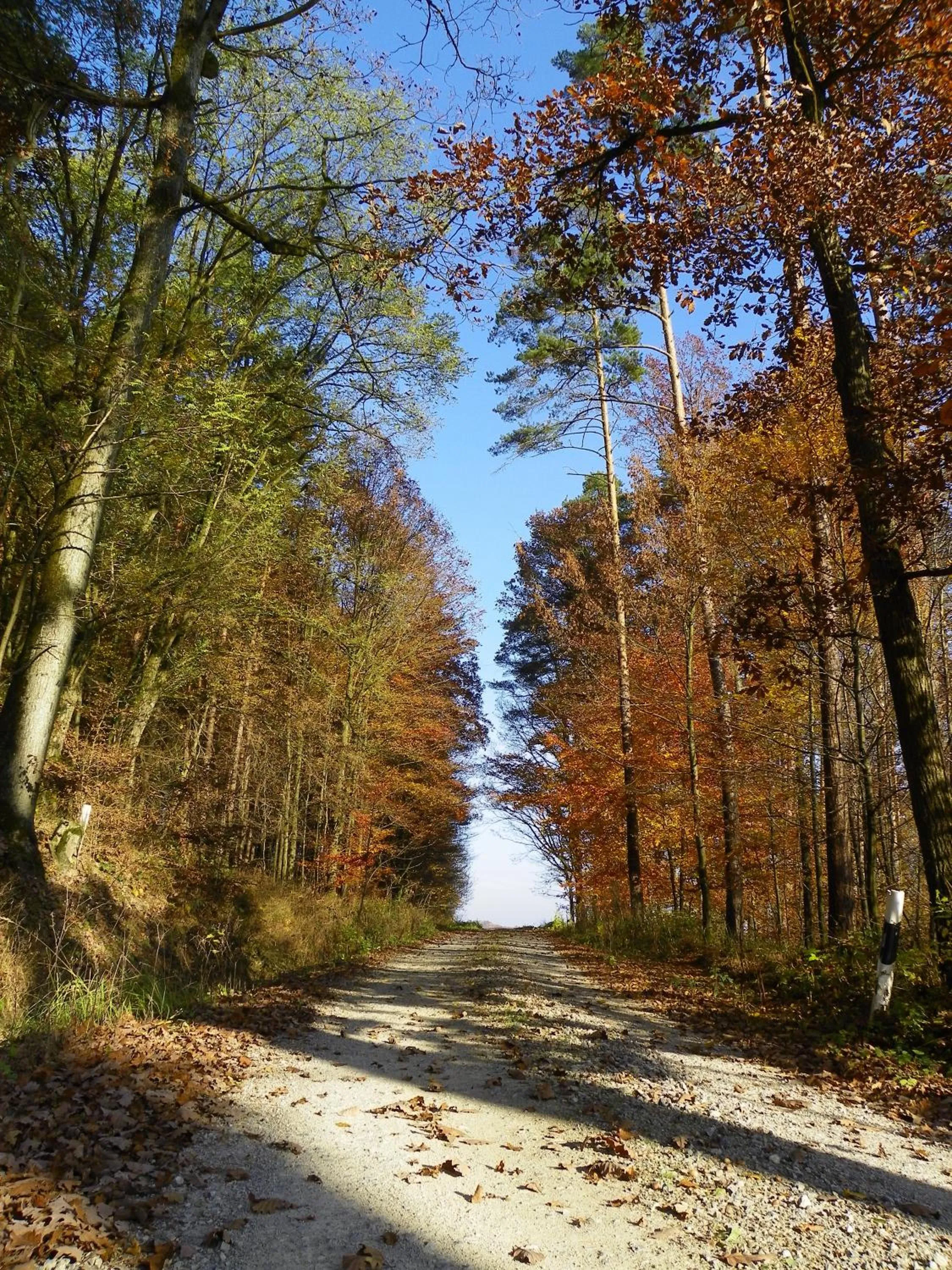 Natural landscape in Landhotel Steigerwaldhaus