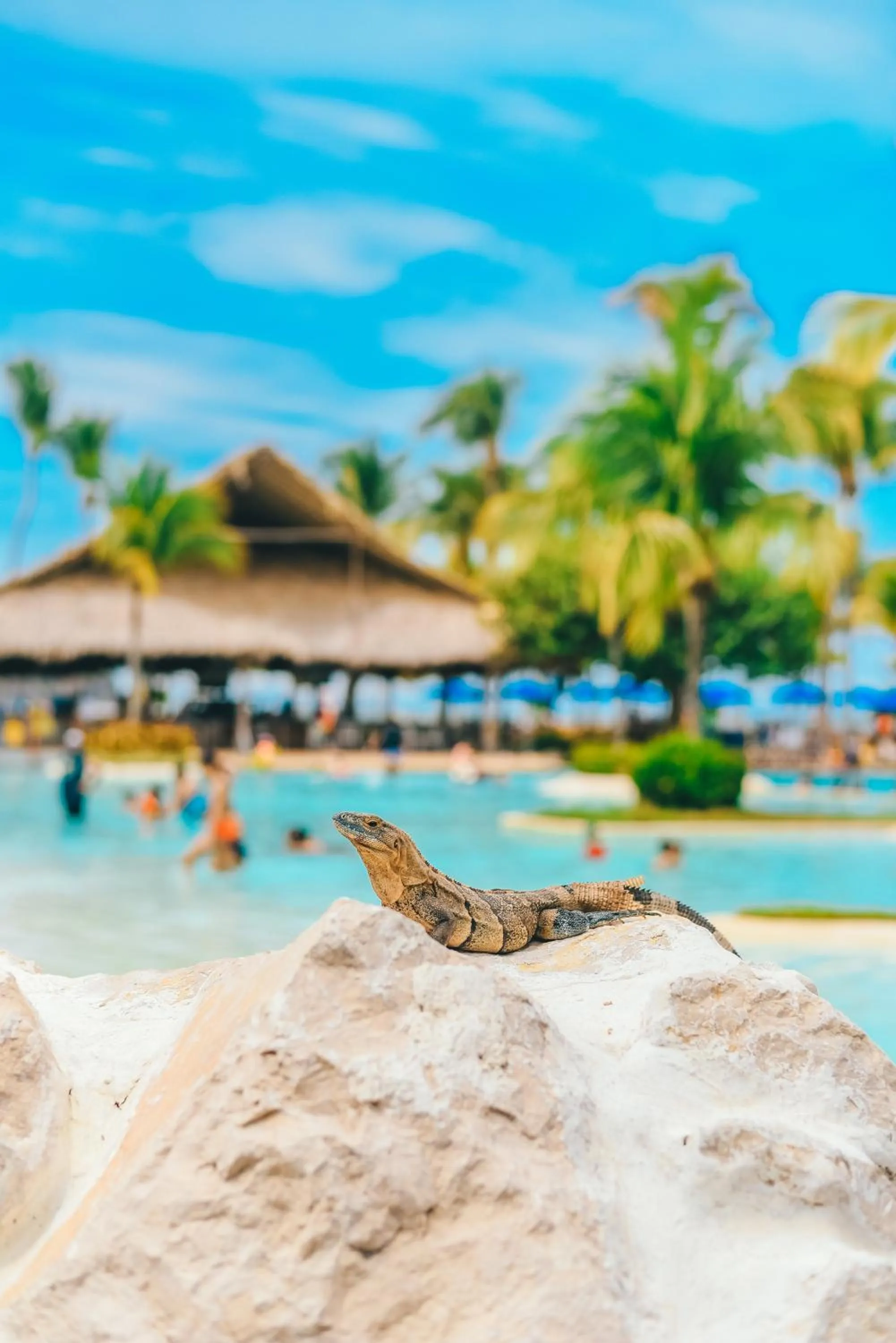 Day in Fiesta Resort All Inclusive Central Pacific - Costa Rica