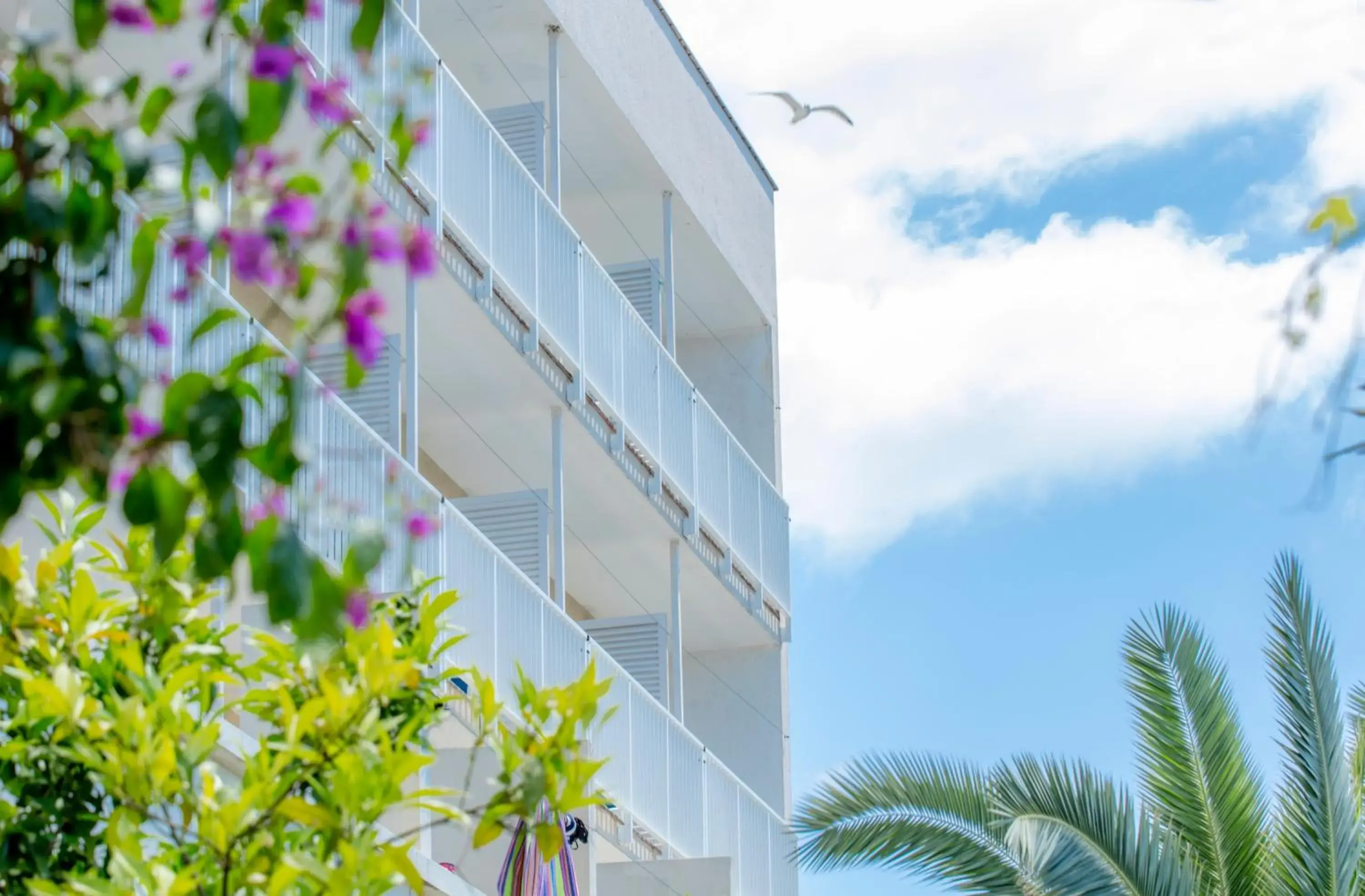 Facade/entrance in Orsan Maradiso Hotel by Aminess Facade/entrance in Orsan Maradiso Hotel by Aminess