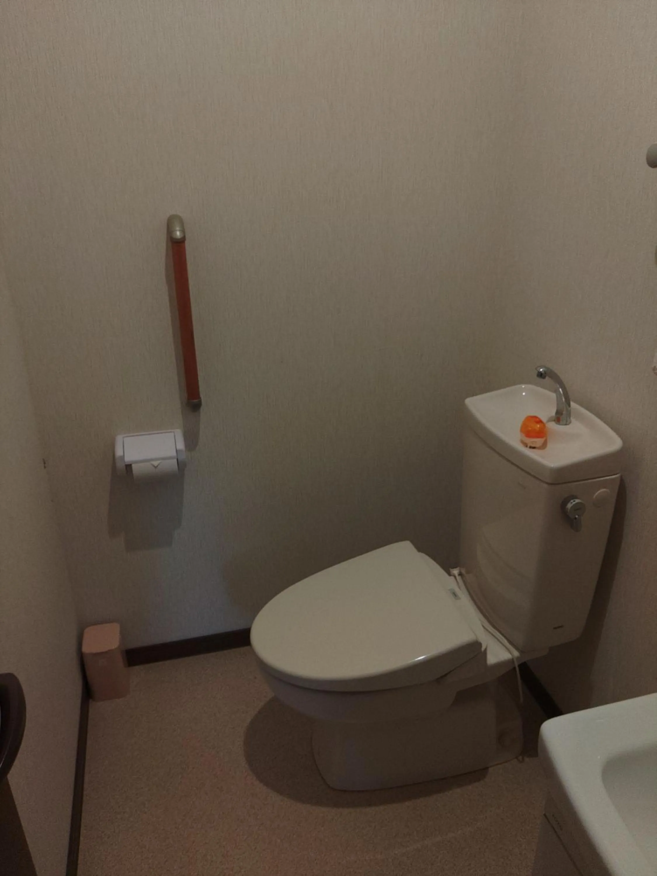 Toilet in Yumeno Onsen