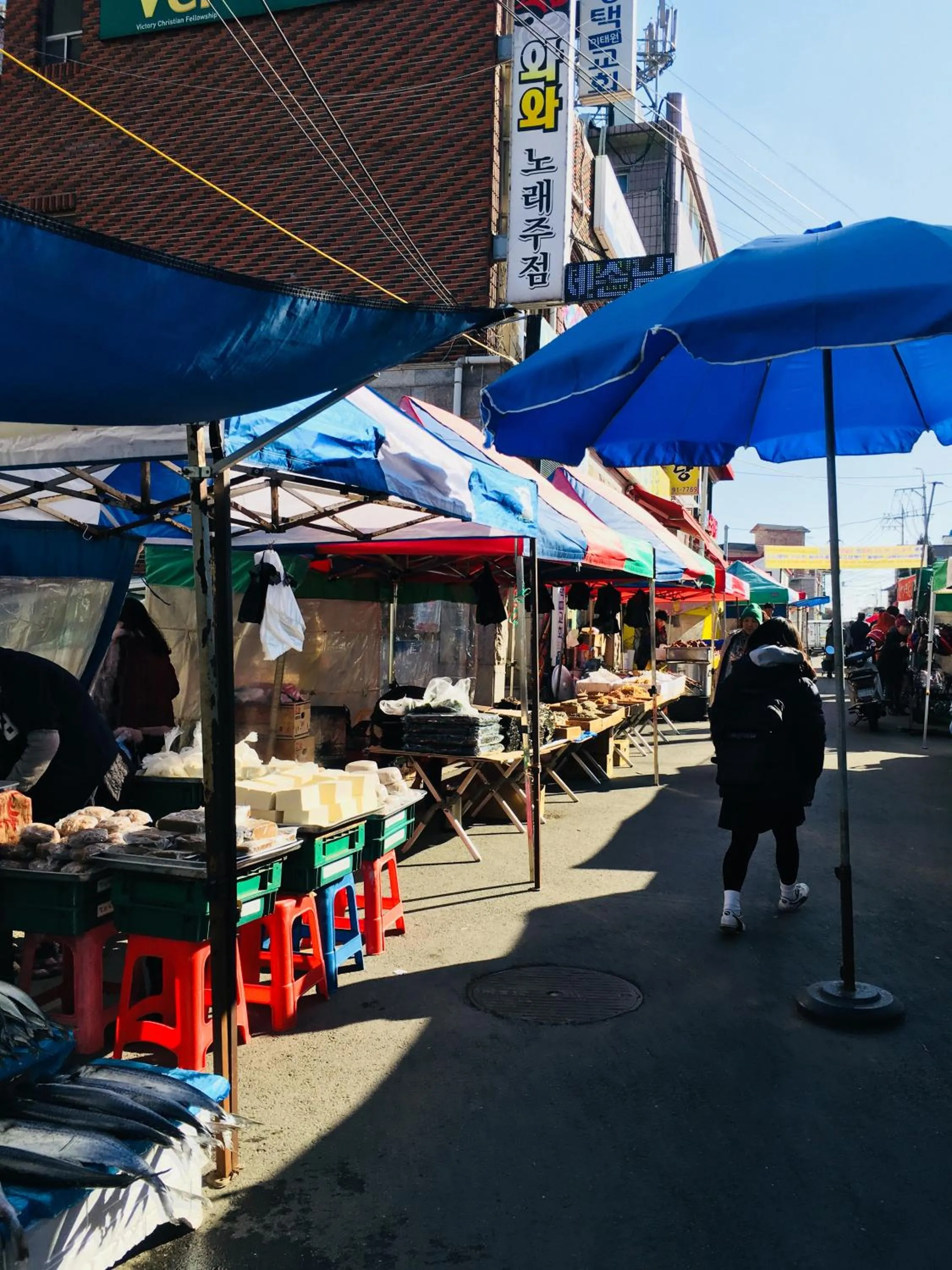 Activities in Hotel Joy near Camp Humphres