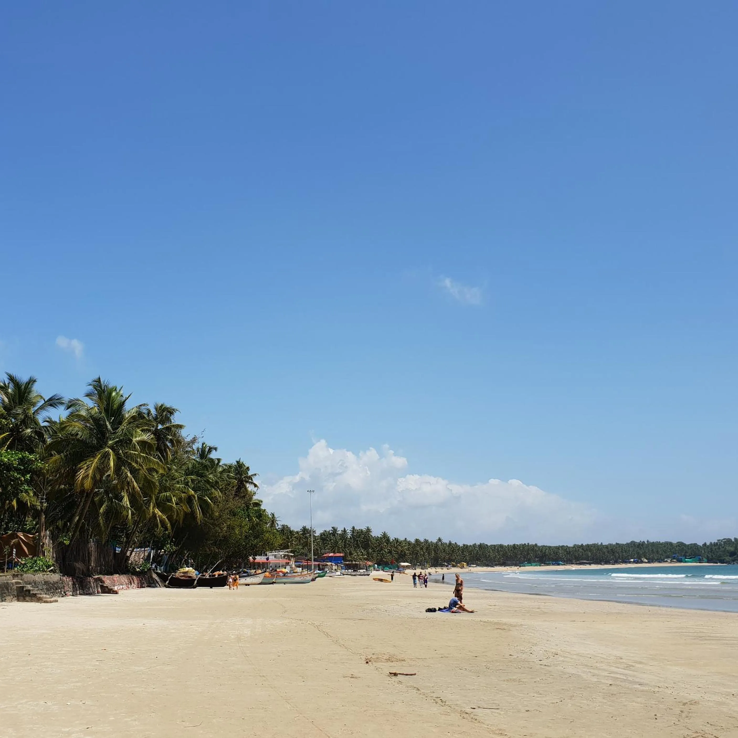 Beach in Palm Forest Palolem