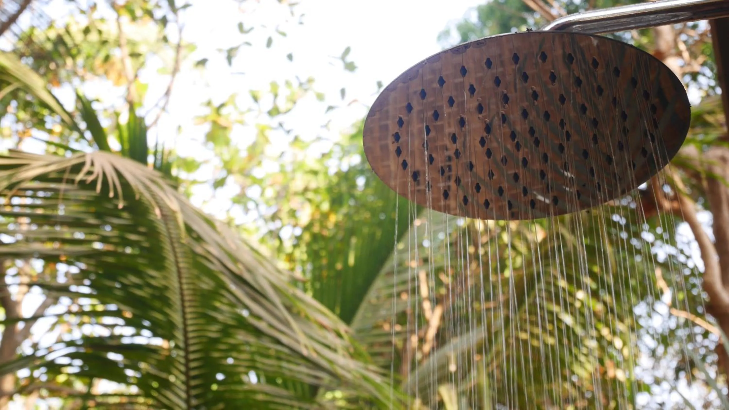 Shower in Palm Forest Palolem