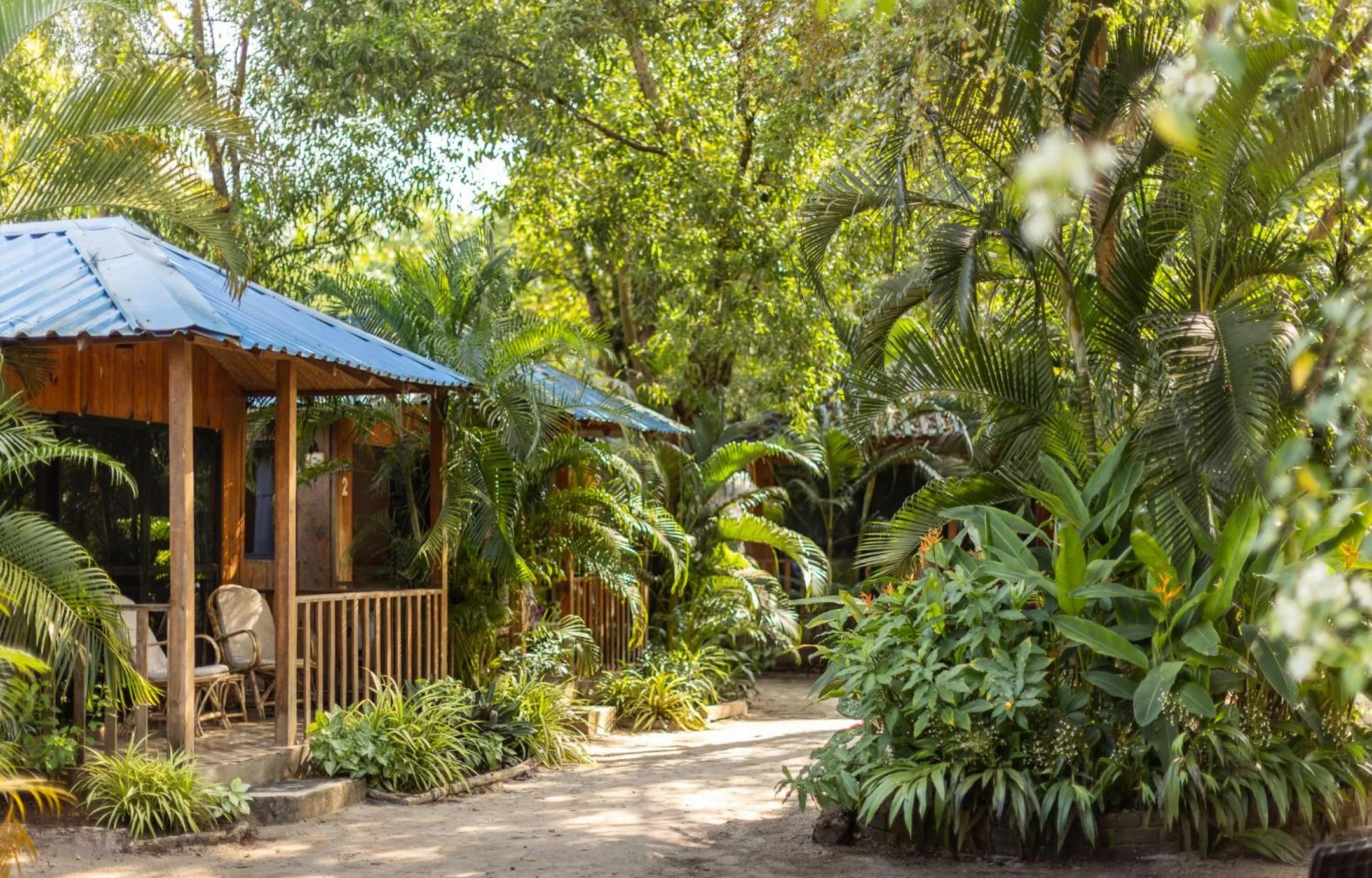 Garden in Palm Forest Palolem