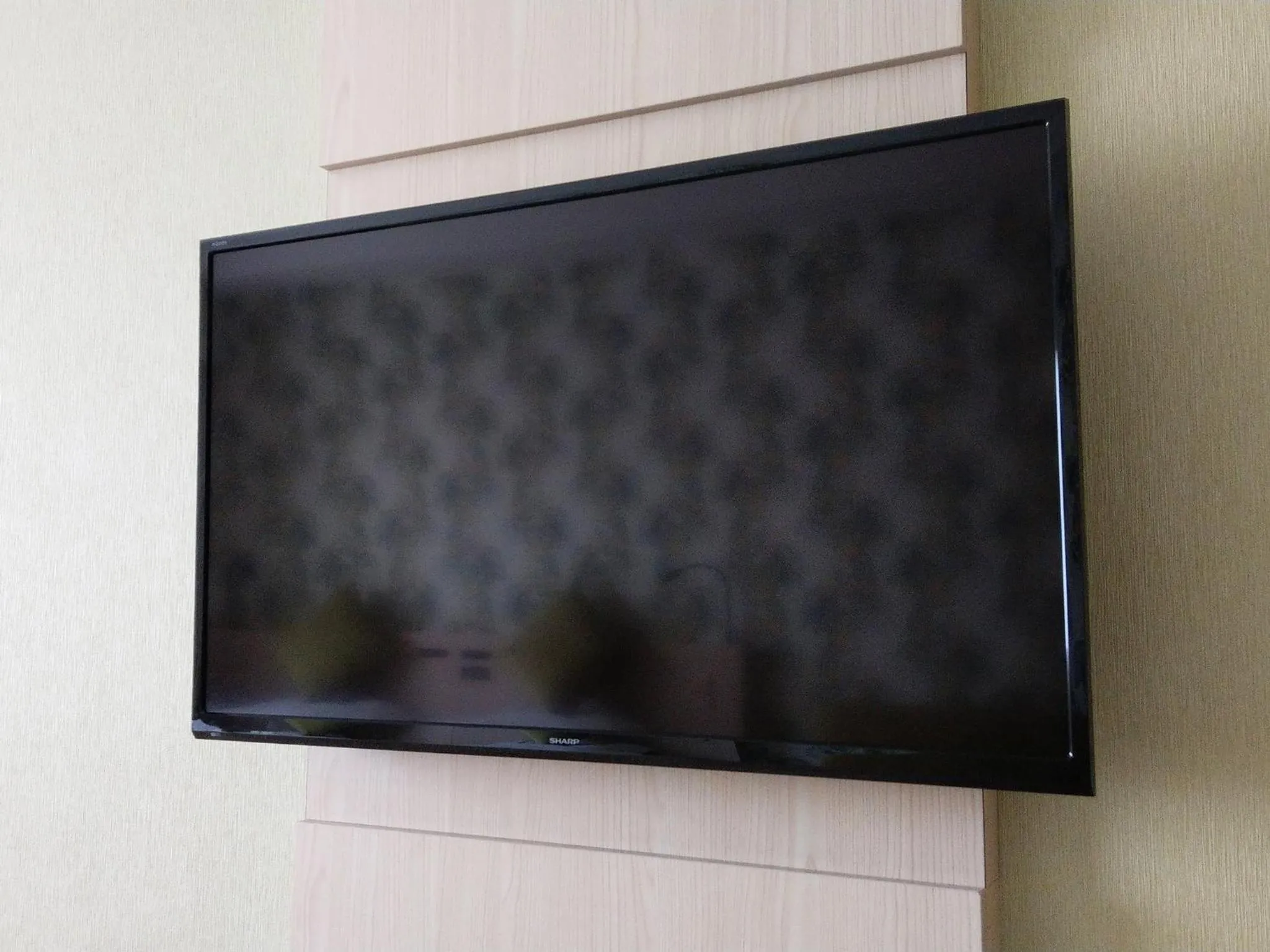 TV and multimedia in La'gent Hotel Okinawa Chatan Hotel and Hostel
