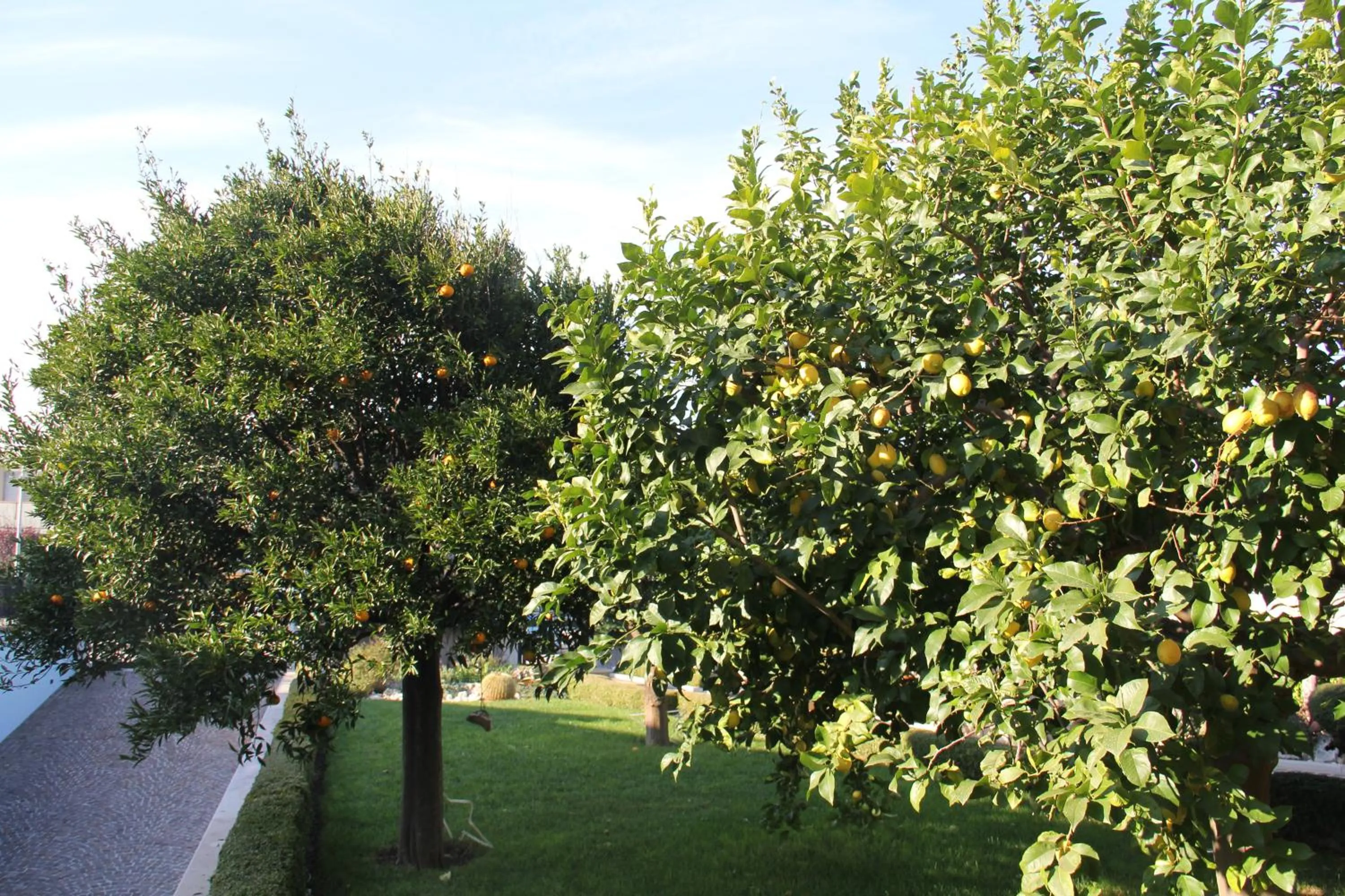 Garden in B&B La Rosa Blu
