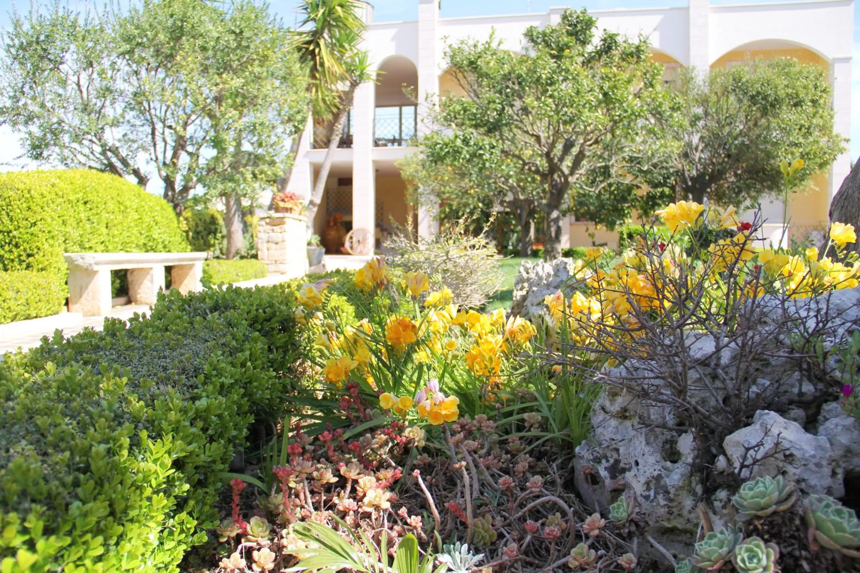 Garden in B&B La Rosa Blu