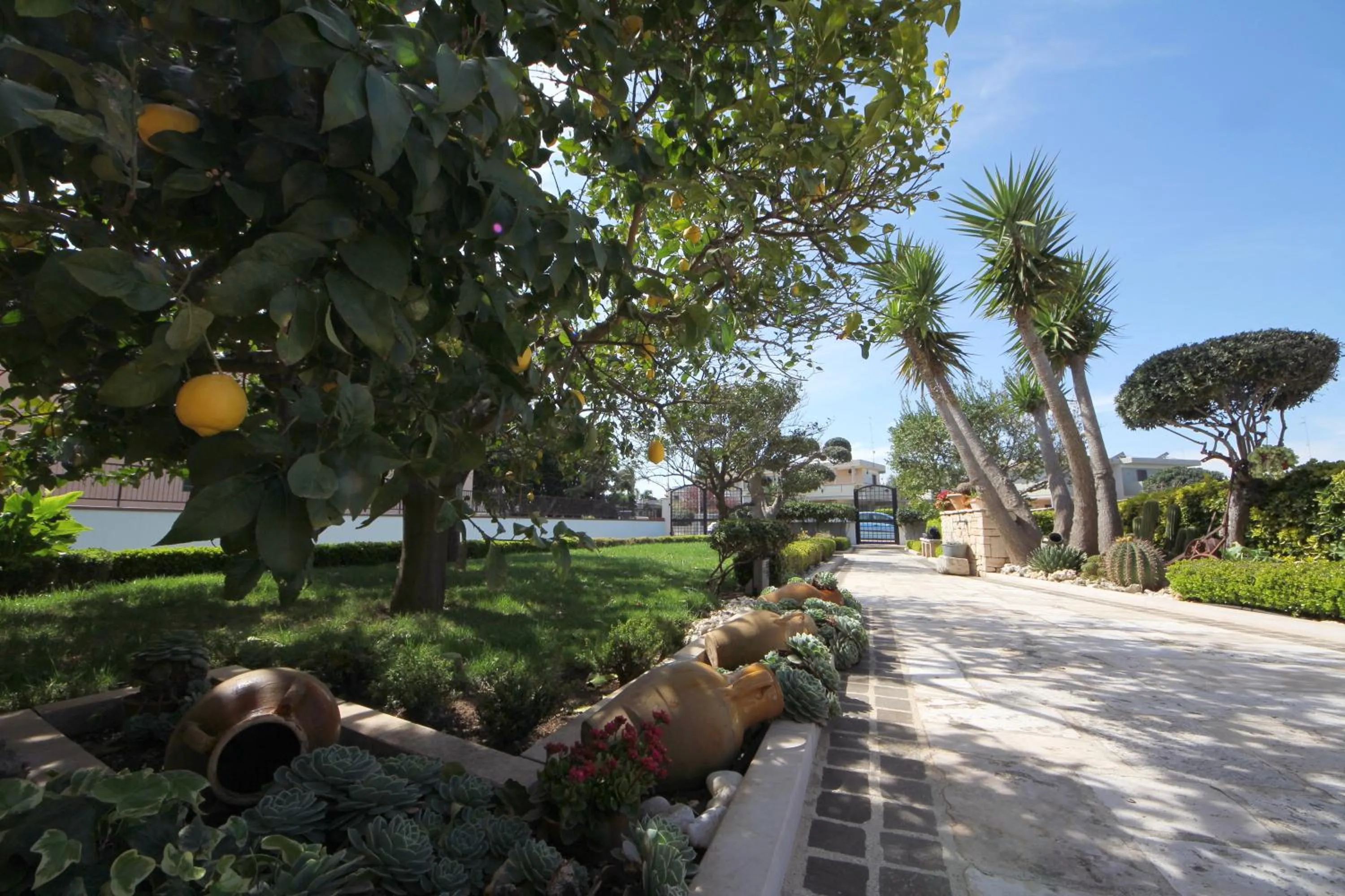Facade/entrance in B&B La Rosa Blu