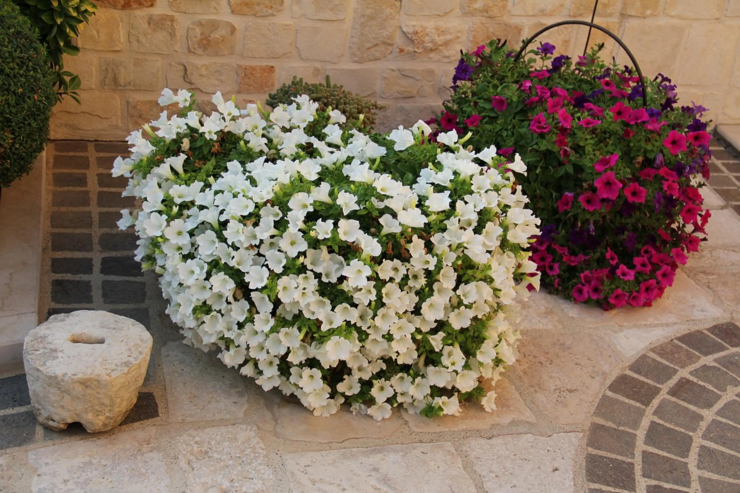 Spring in B&B La Rosa Blu