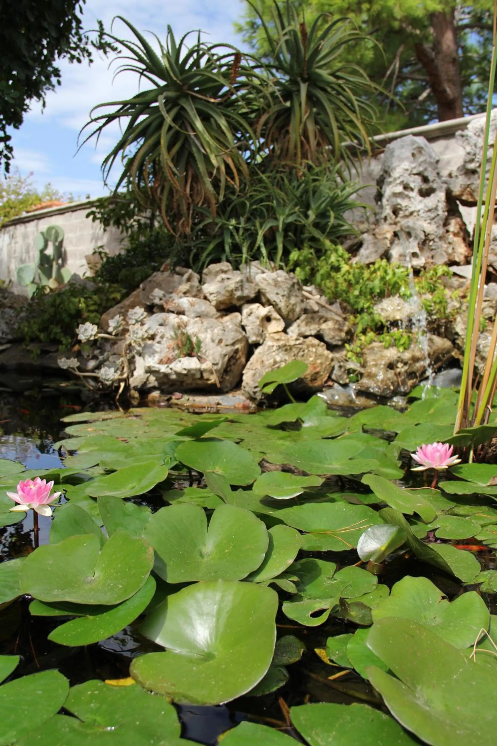 Garden in B&B La Rosa Blu