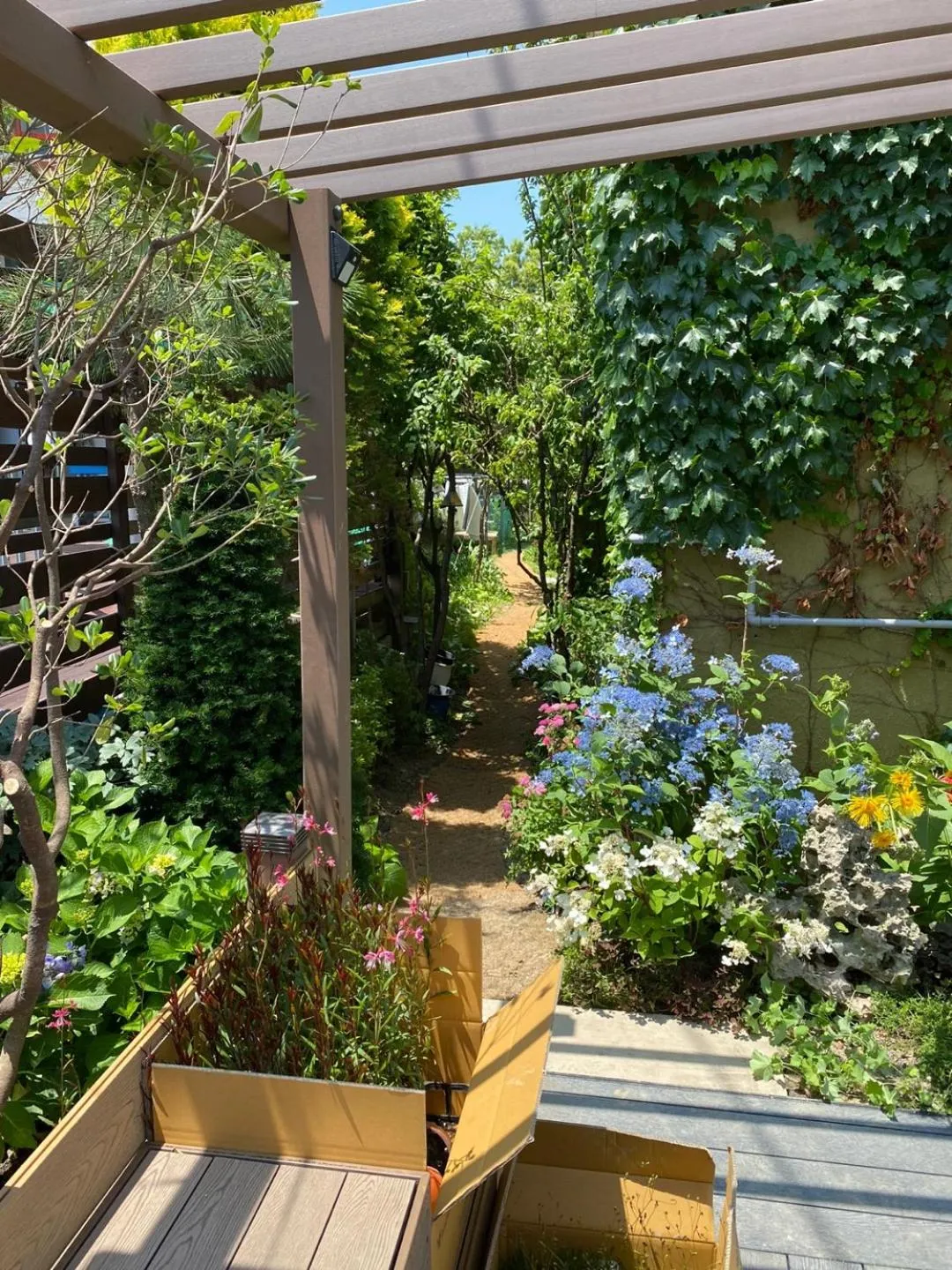 Garden in Pension Badawa