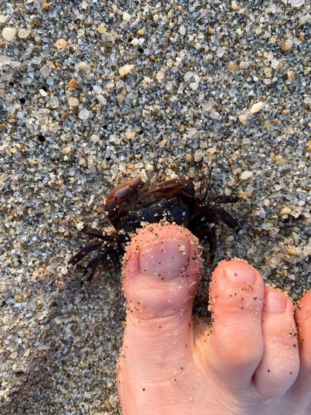 Beach in Pension Badawa