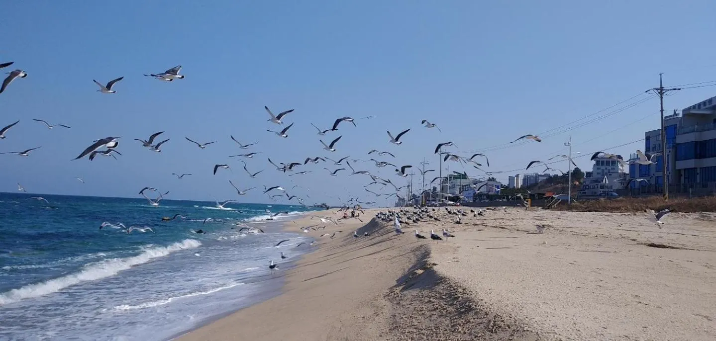 Beach in Pension Badawa