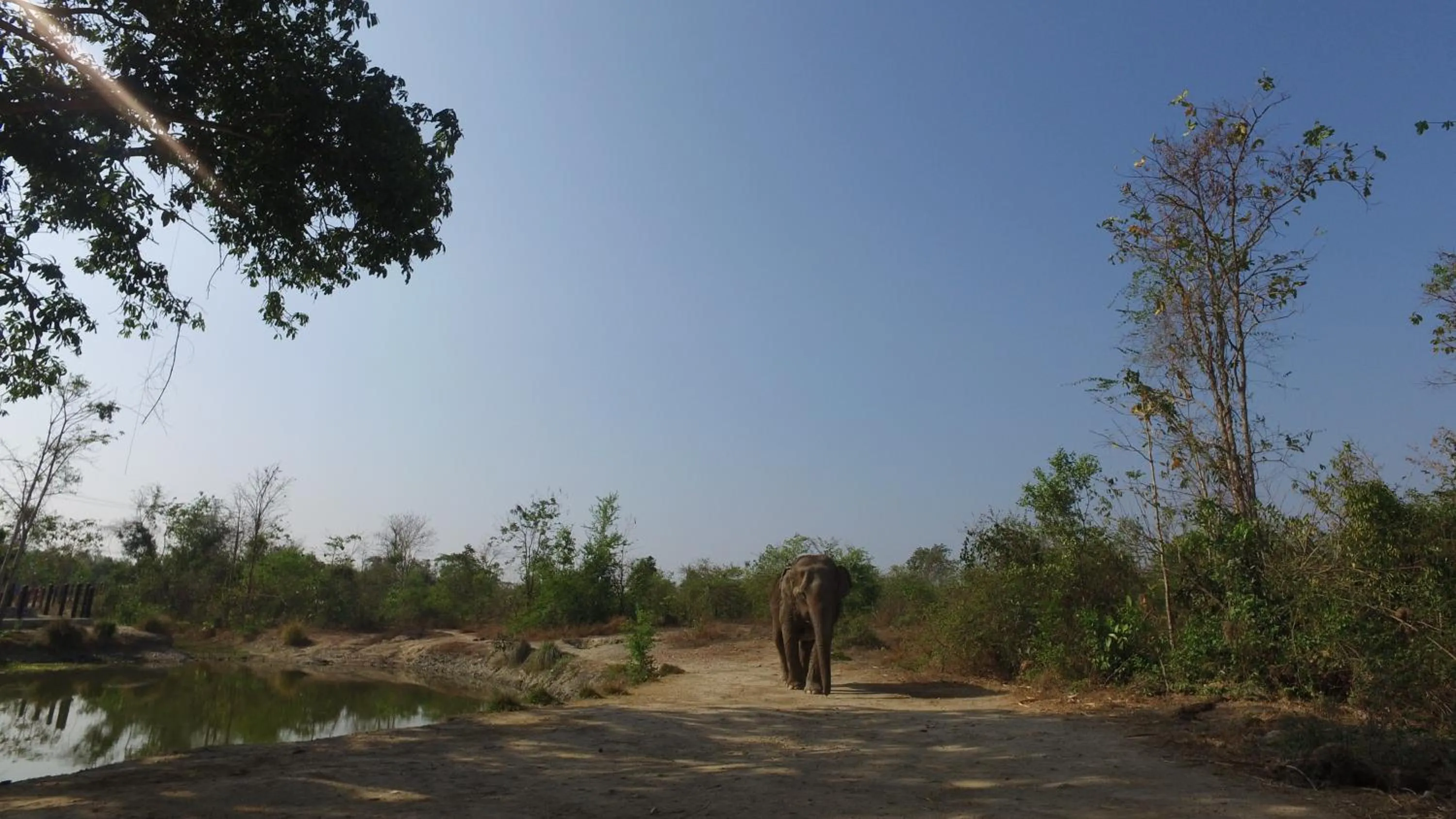 Natural landscape in I love phants Lodge