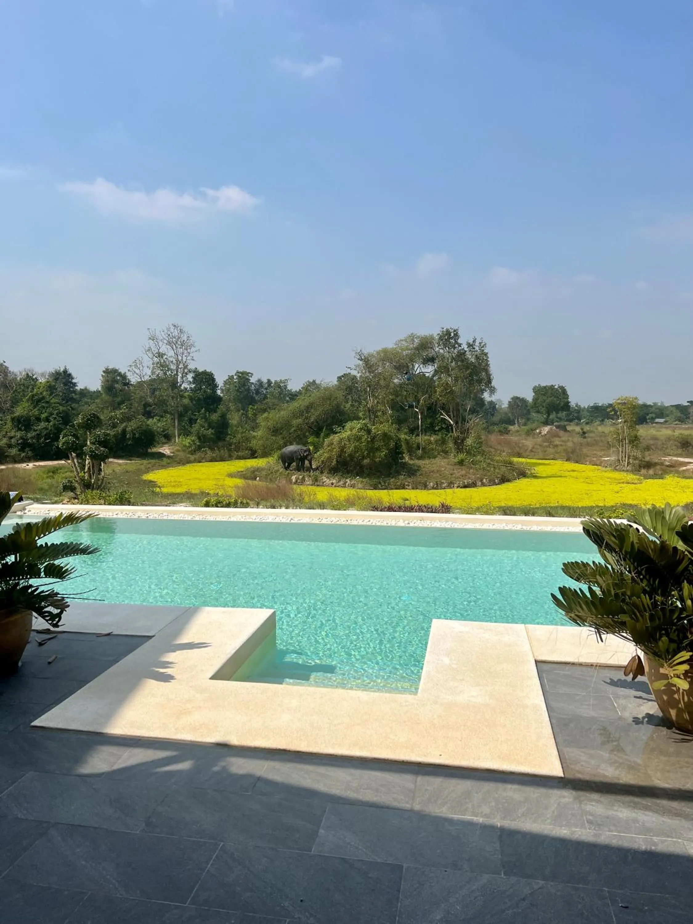 Garden view in I love phants Lodge