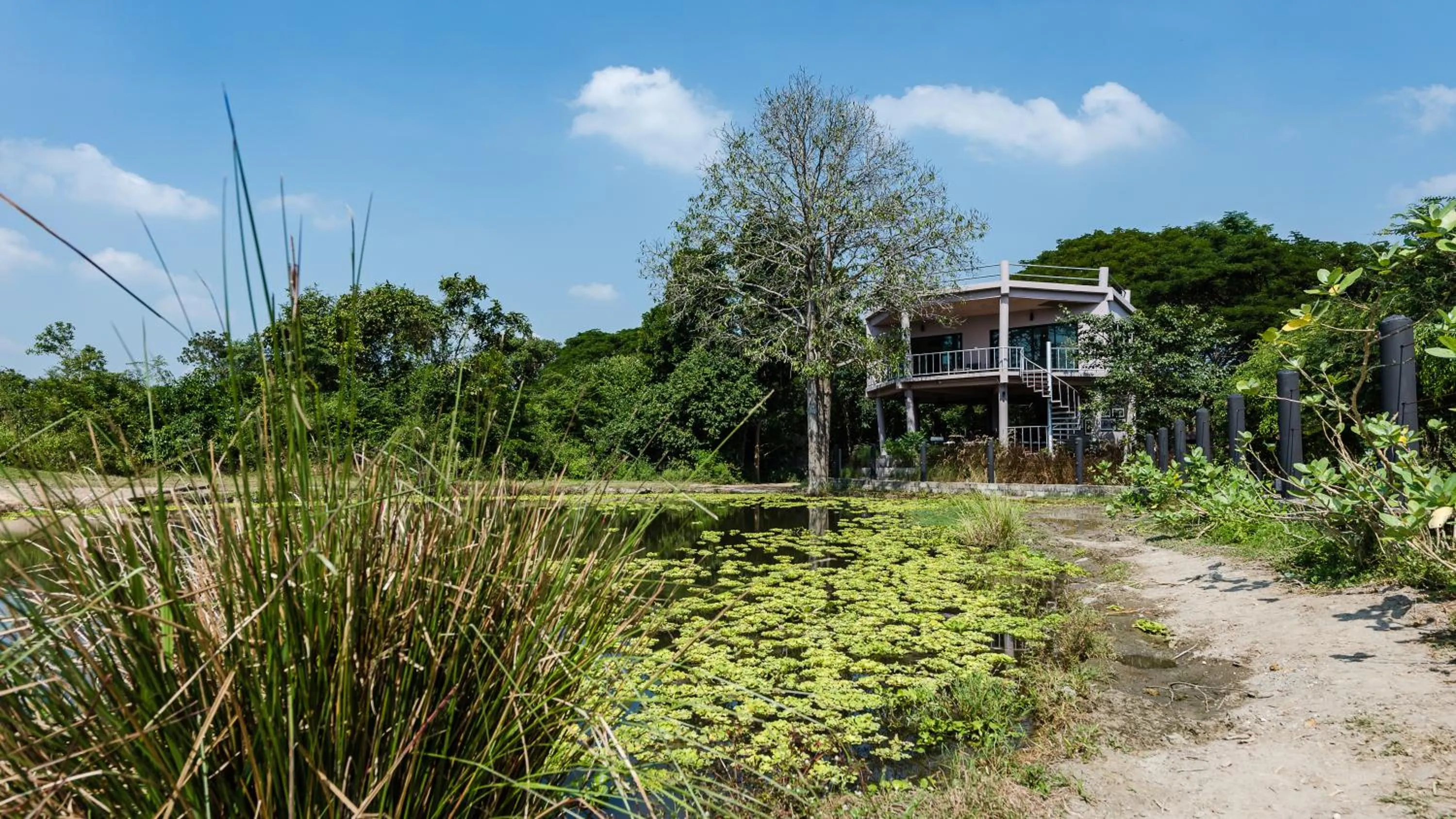 Garden view in I love phants Lodge