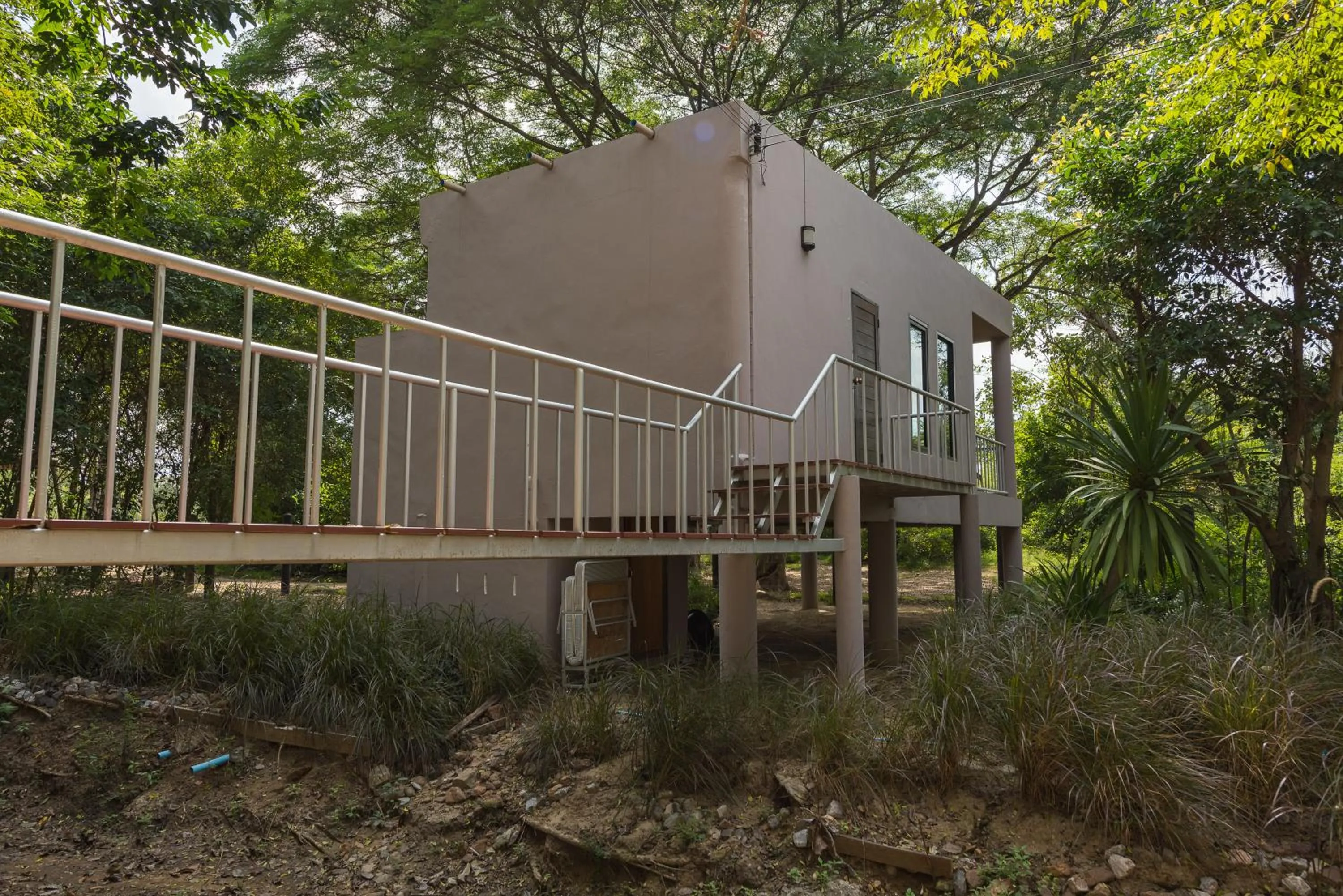 Garden view in I love phants Lodge