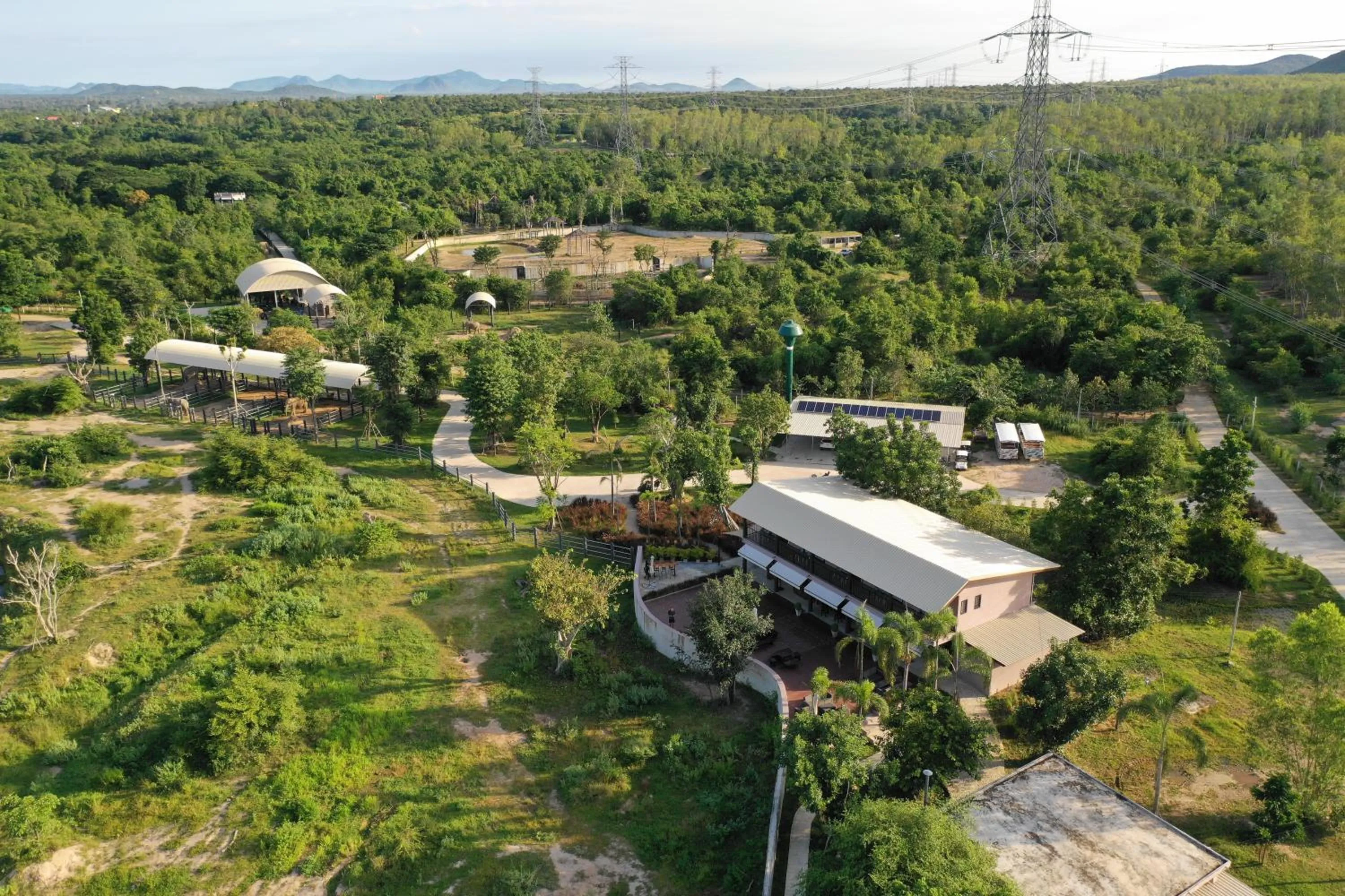 Property building in I love phants Lodge