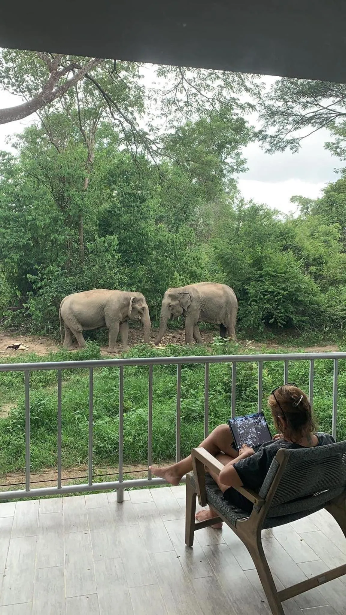 Balcony/Terrace in I love phants Lodge