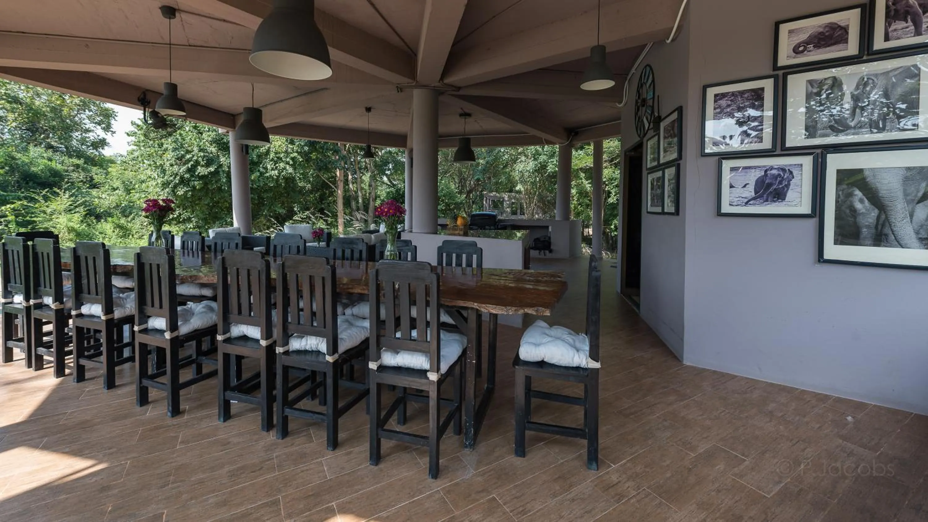 Lounge or bar in I love phants Lodge