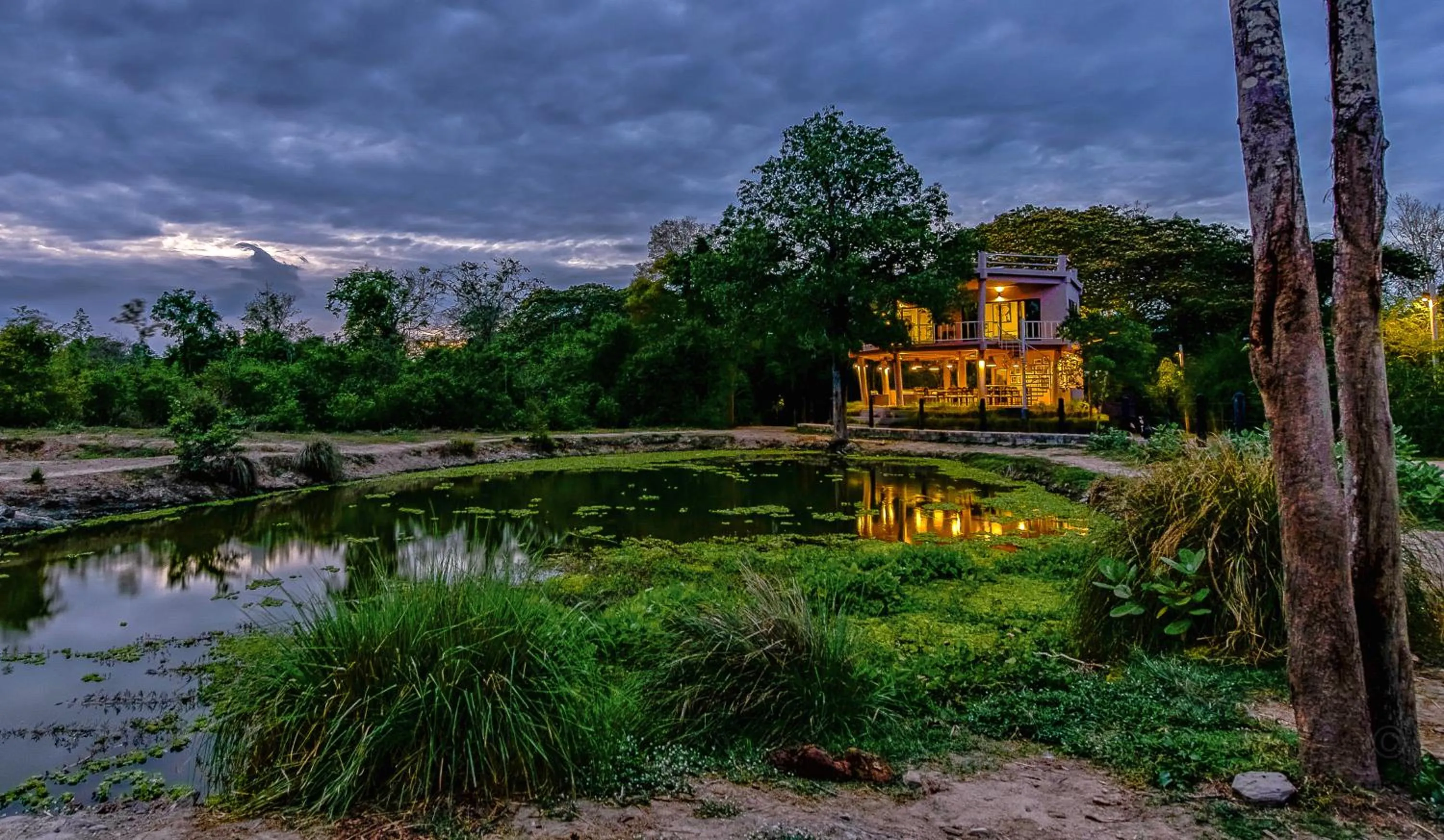 Natural landscape in I love phants Lodge