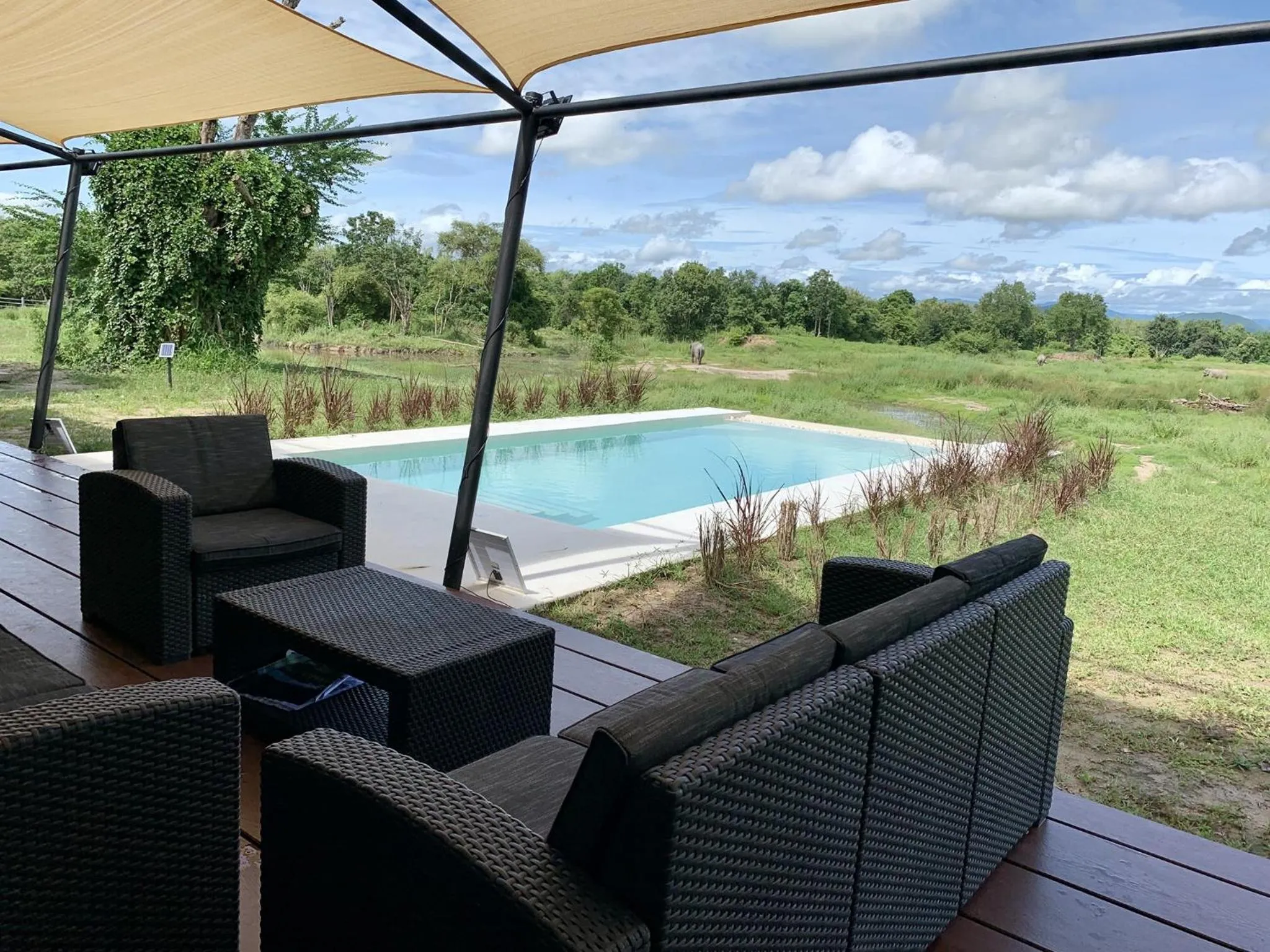 Patio in I love phants Lodge