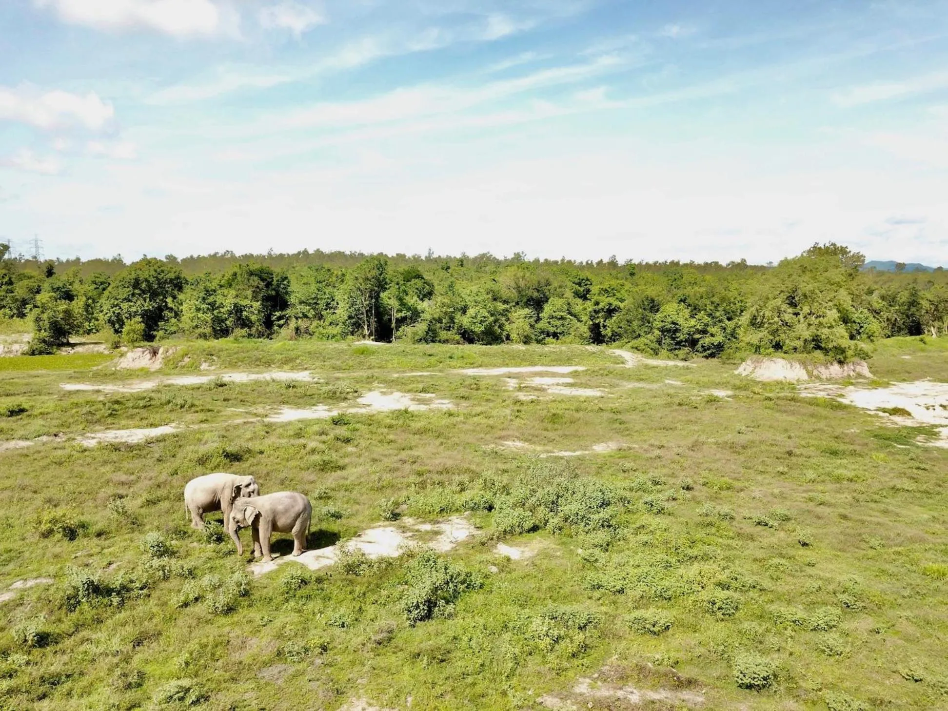 Natural landscape in I love phants Lodge