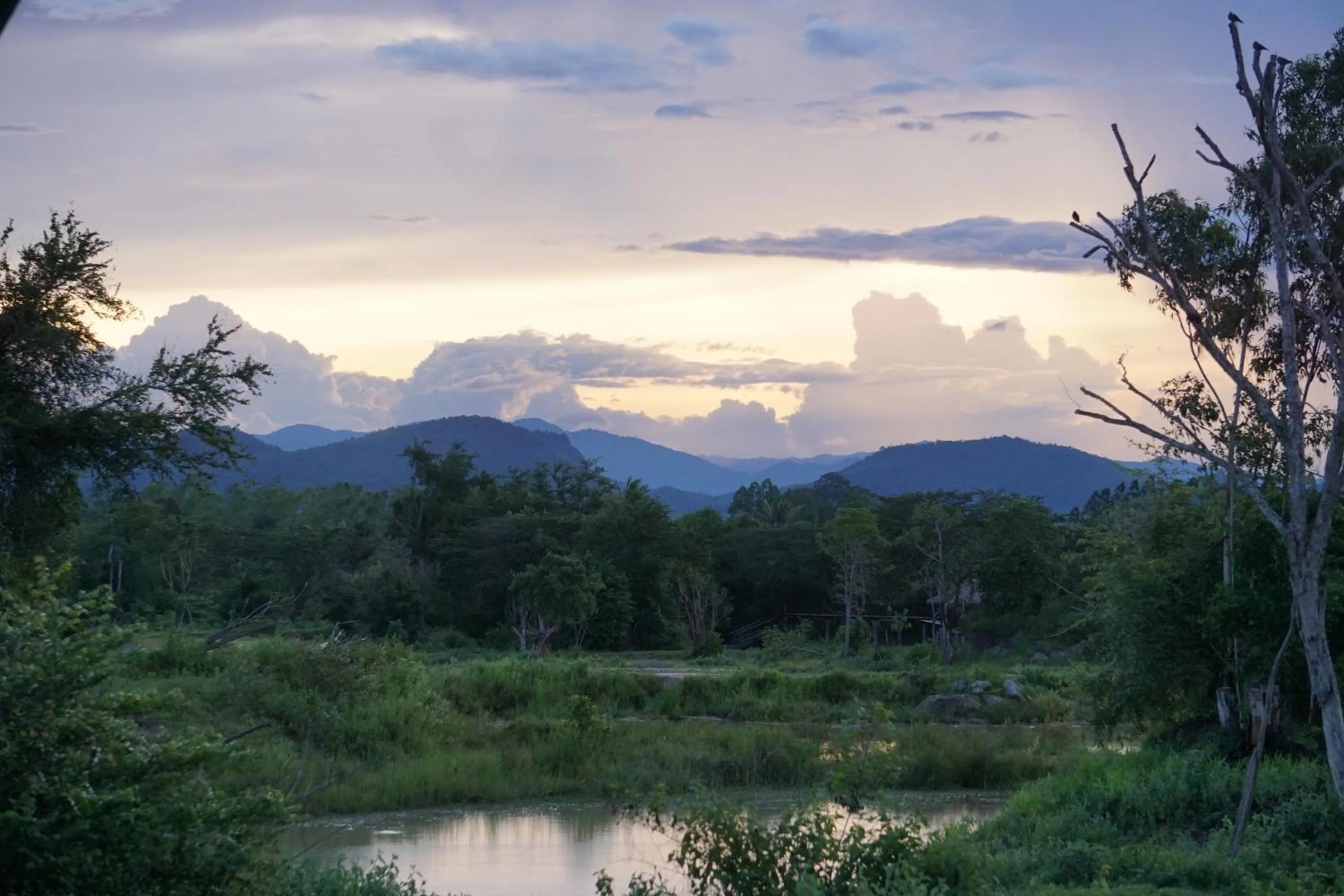 Mountain view in I love phants Lodge