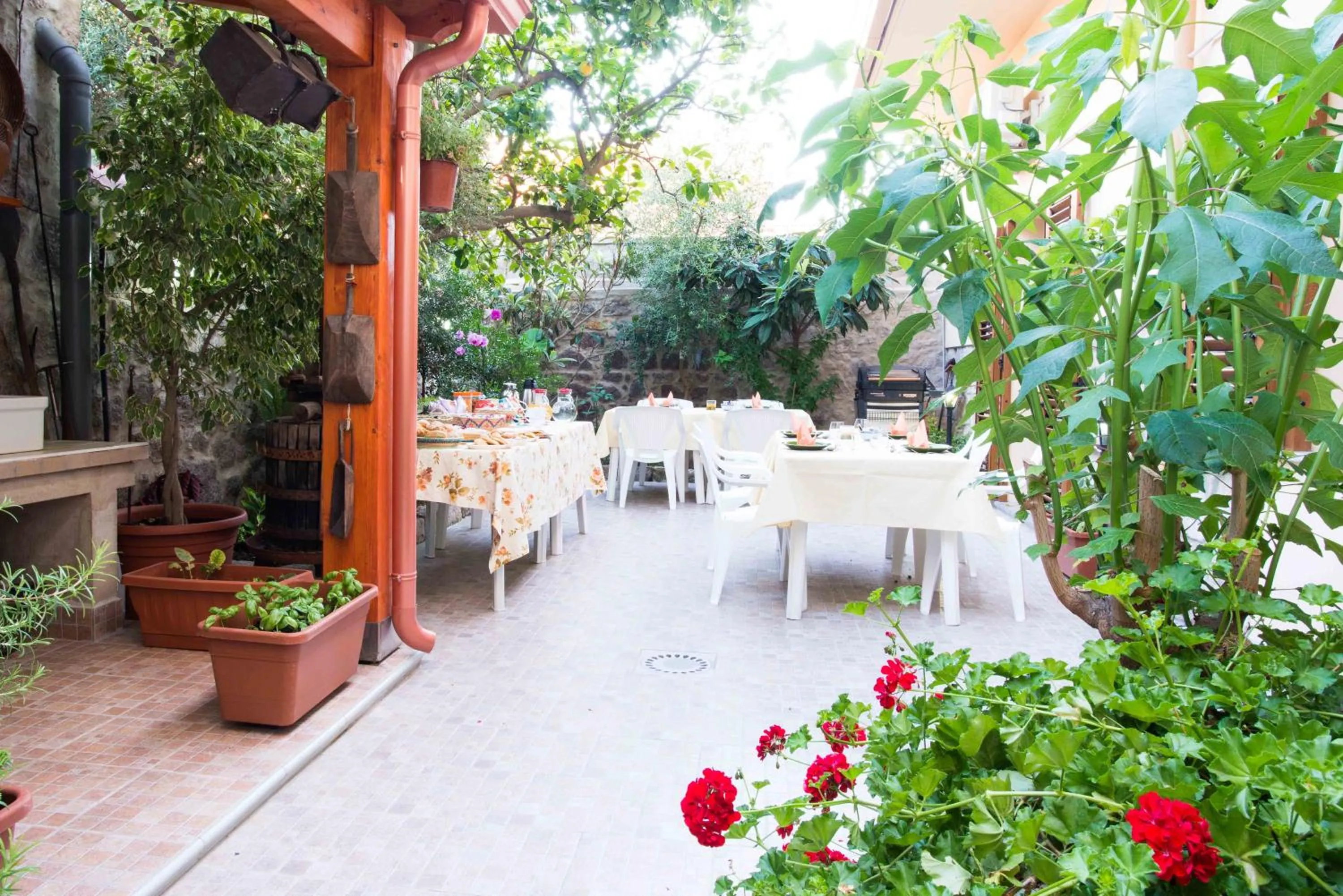 Garden in B&B L'Albero Dei Limoni