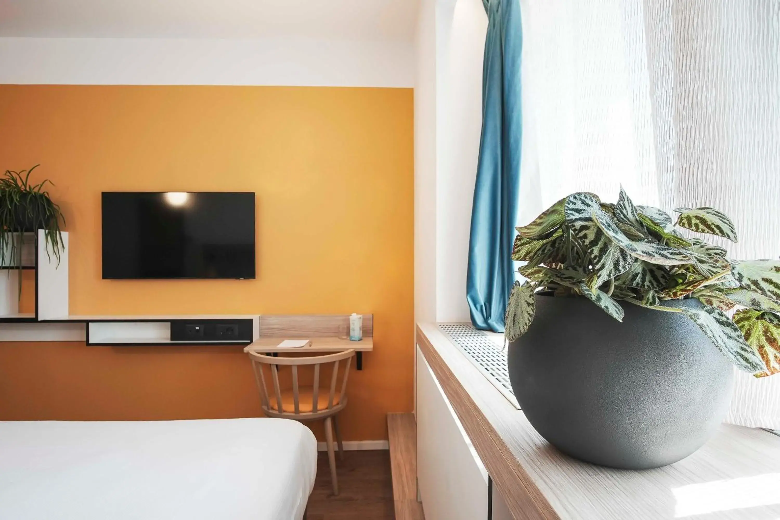 Standard Double Room - single occupancy in Aparthotel Colombo Roma Standard Double Room - single occupancy in Aparthotel Colombo Roma