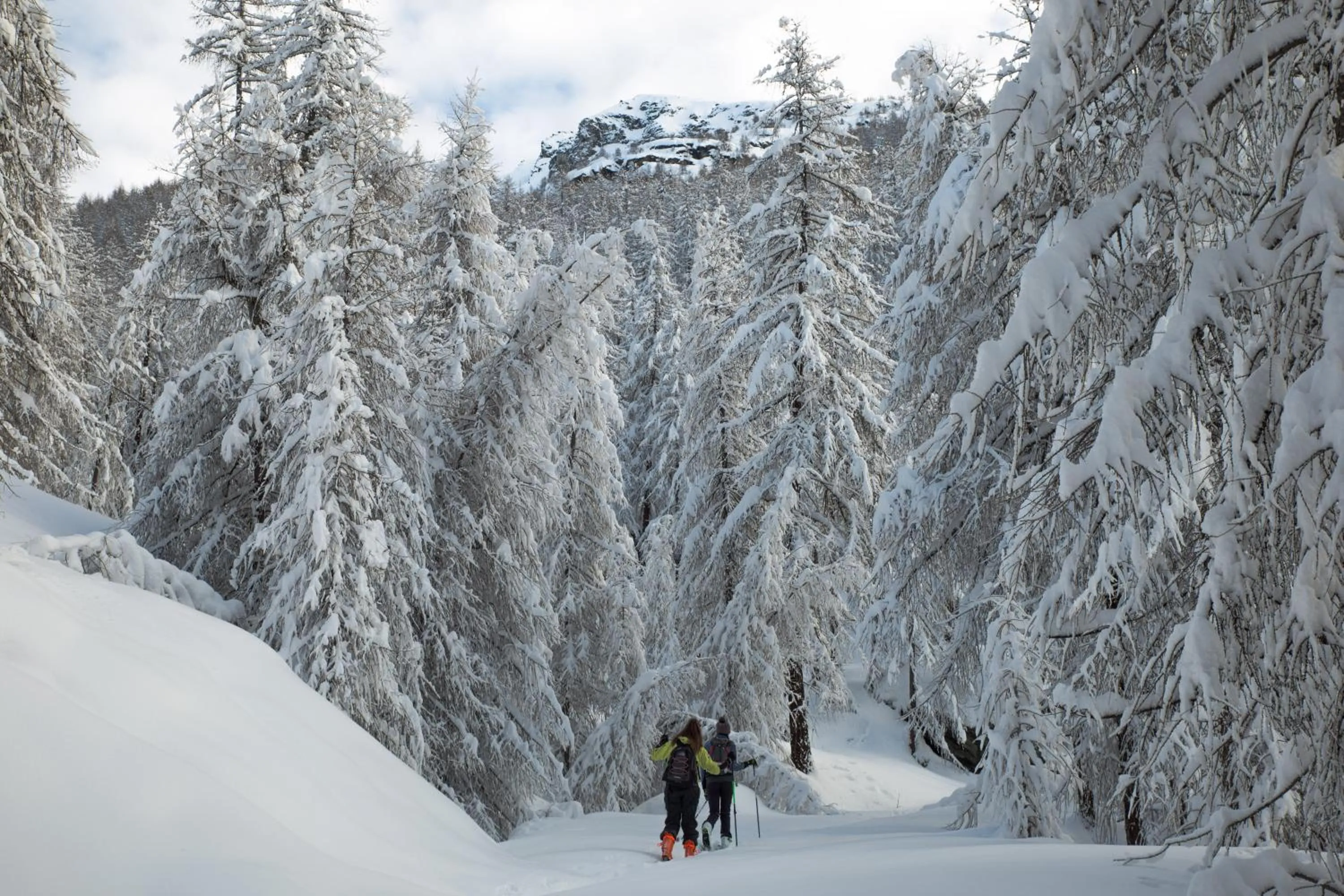 Natural landscape in Hotel Le Clocher