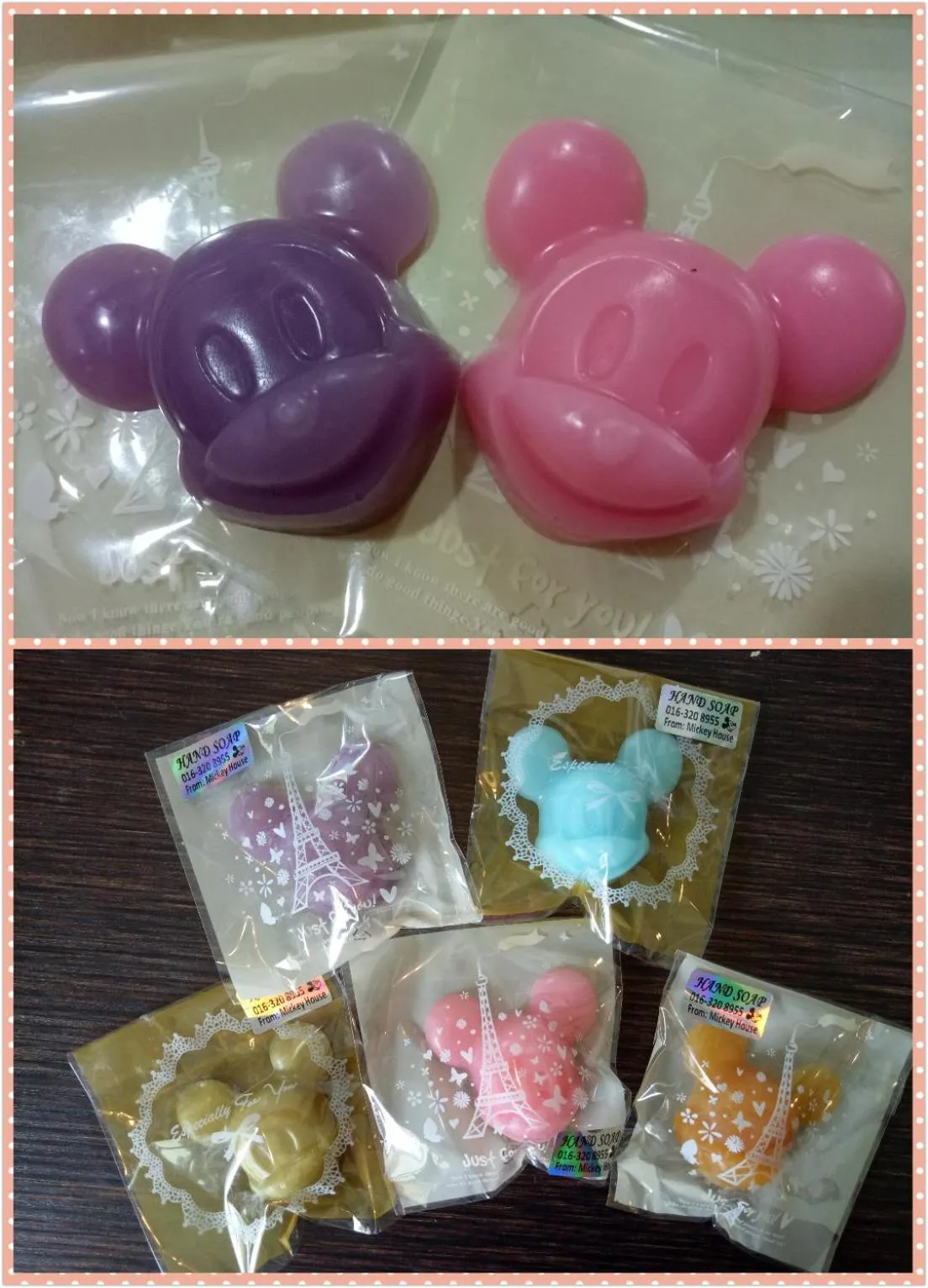 Gold Coast Morib Mickey House