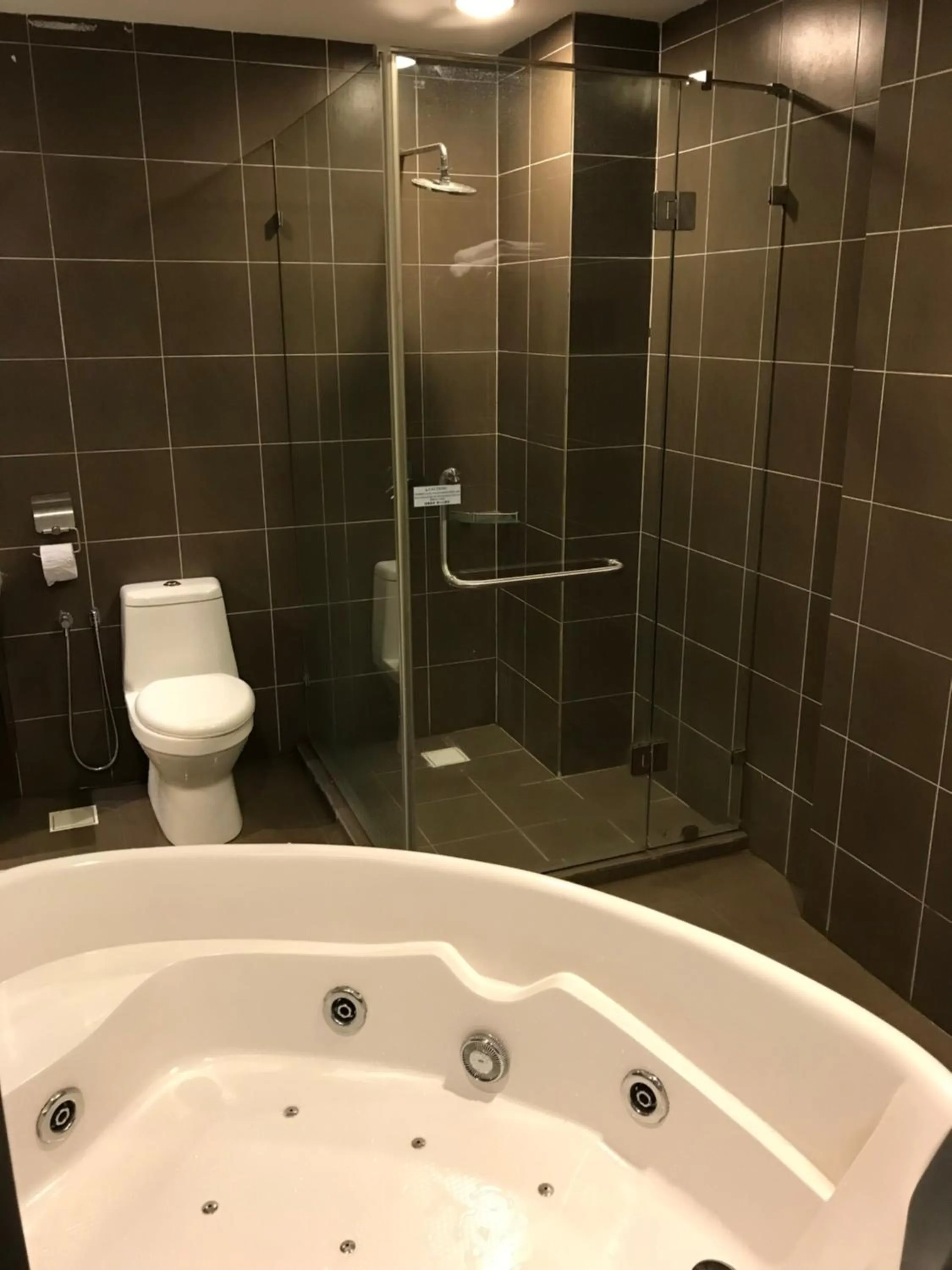 Swimming pool in Gold Coast Morib Mickey House