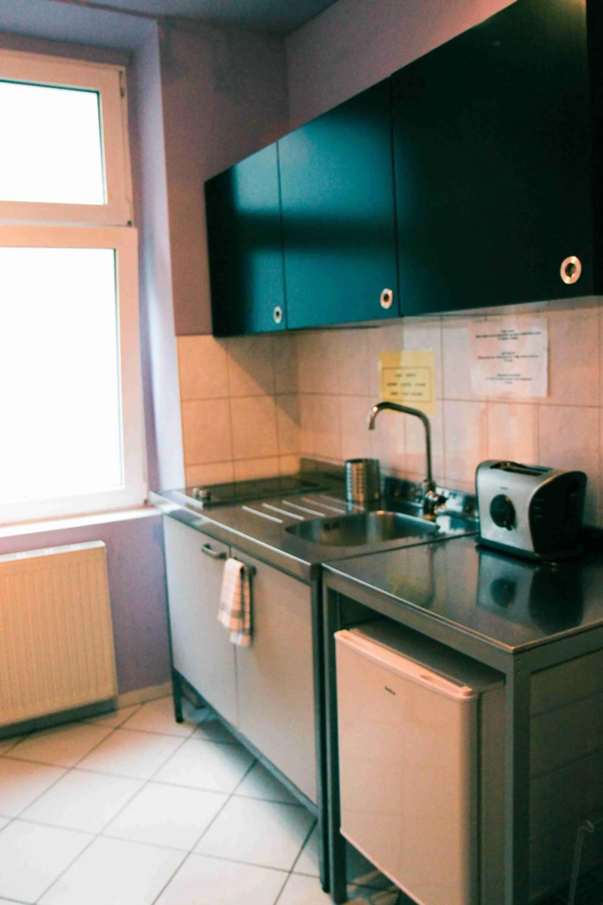 Kitchen or kitchenette in Sunflower Hostel Berlin