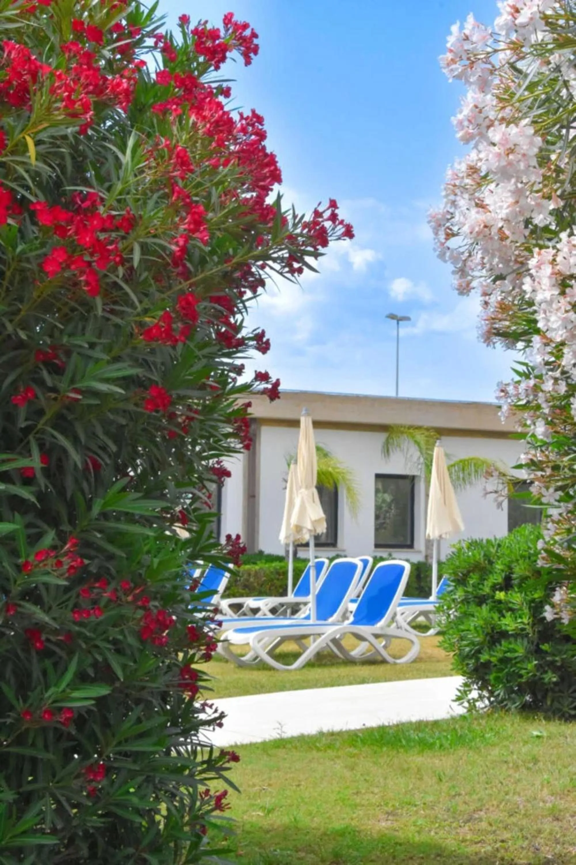 Garden in I Giardini di Athena- Athena Resort