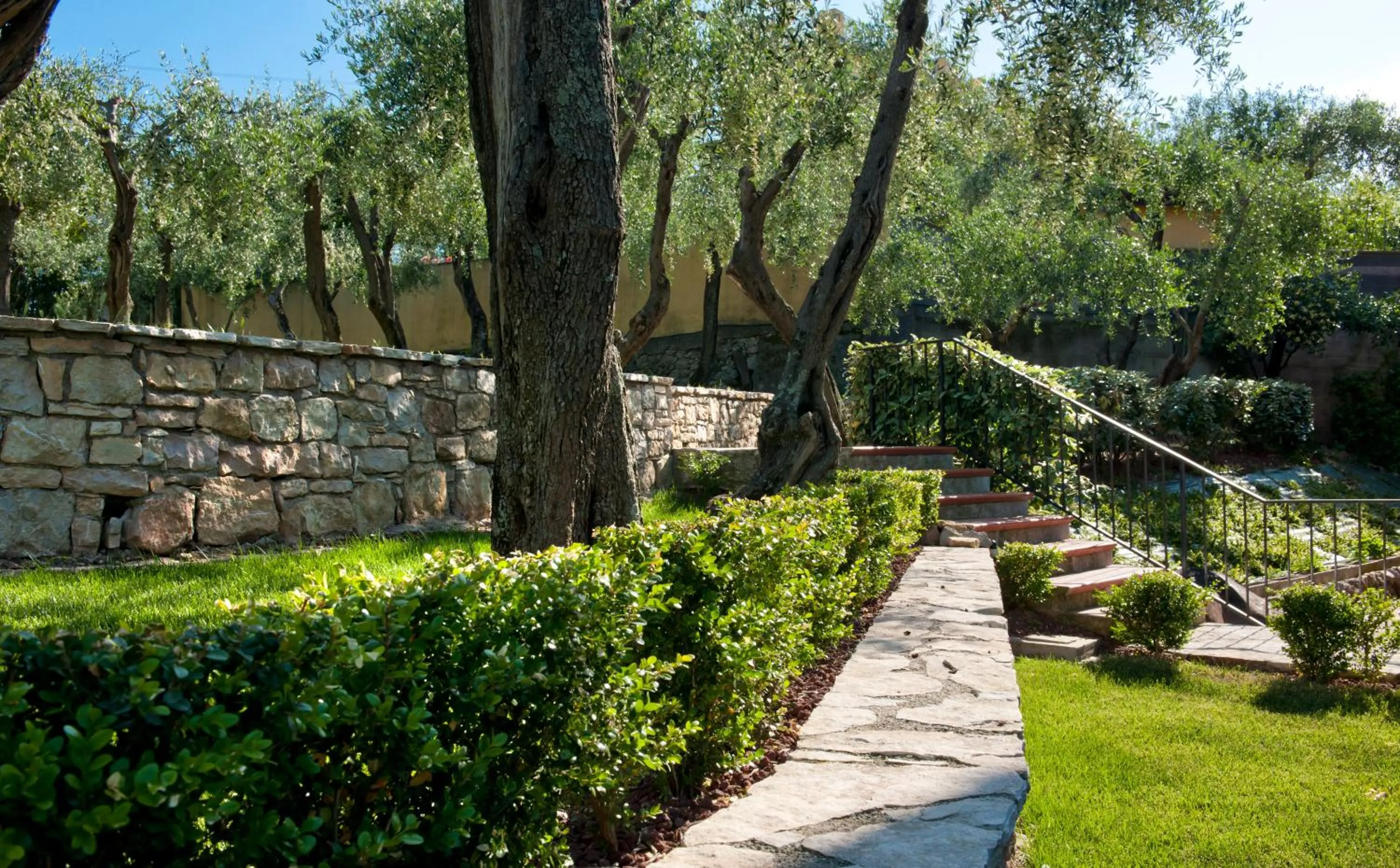 Garden in Europa Grand Hotel