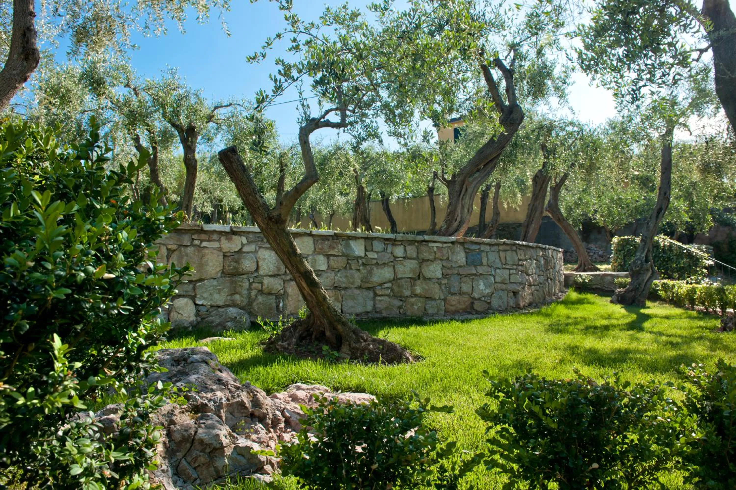 Garden in Europa Grand Hotel